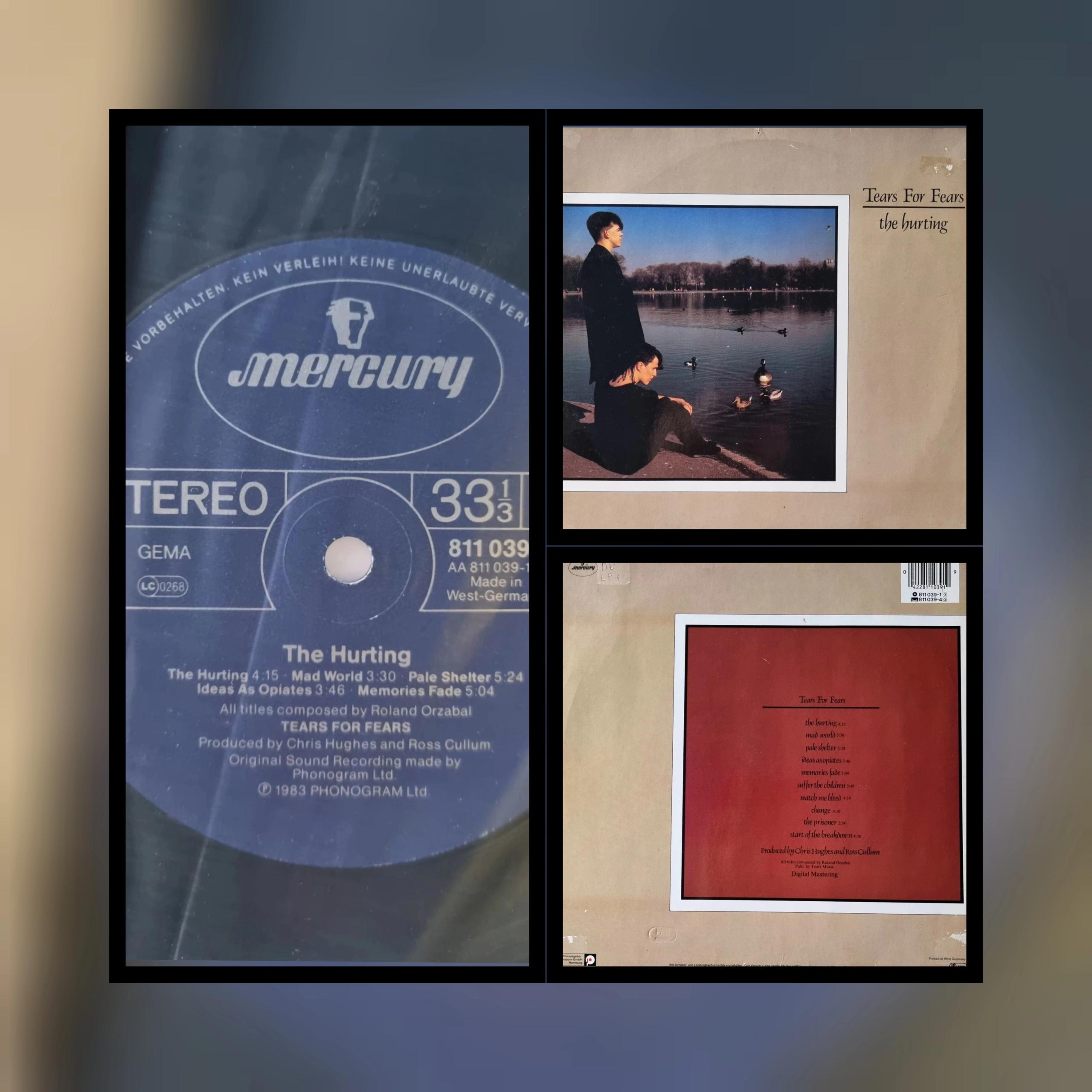 Tears for Fears The hurting