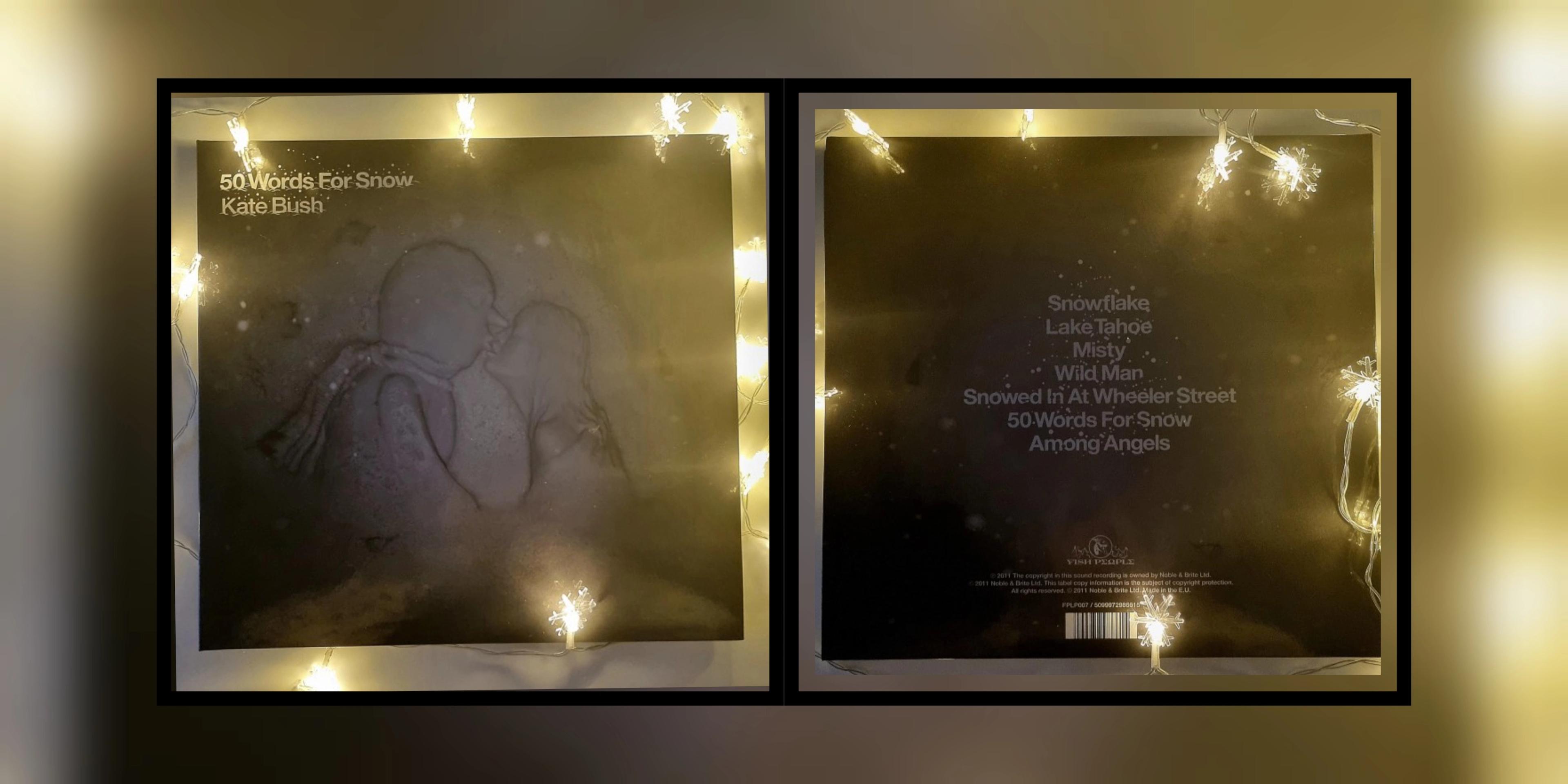 Subiektywny Leksykon Płyt, Które Warto Mieć: Kate Bush "50 Words For Snow"