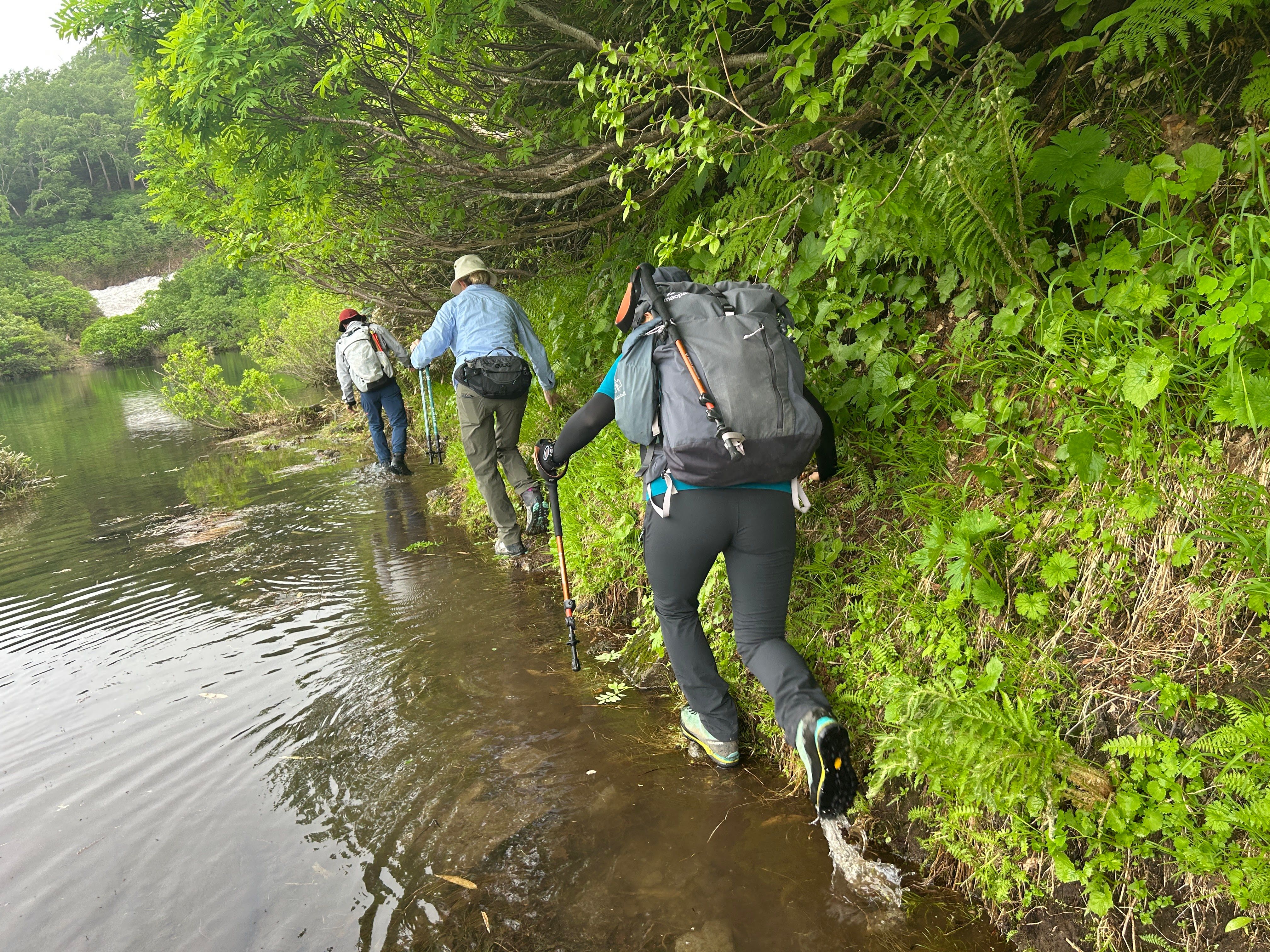Three hikers skirt the edge of an alpine tarn in Daisetsuzan National Park. The tarn is overflowing due to spring meltwater from the mountains.