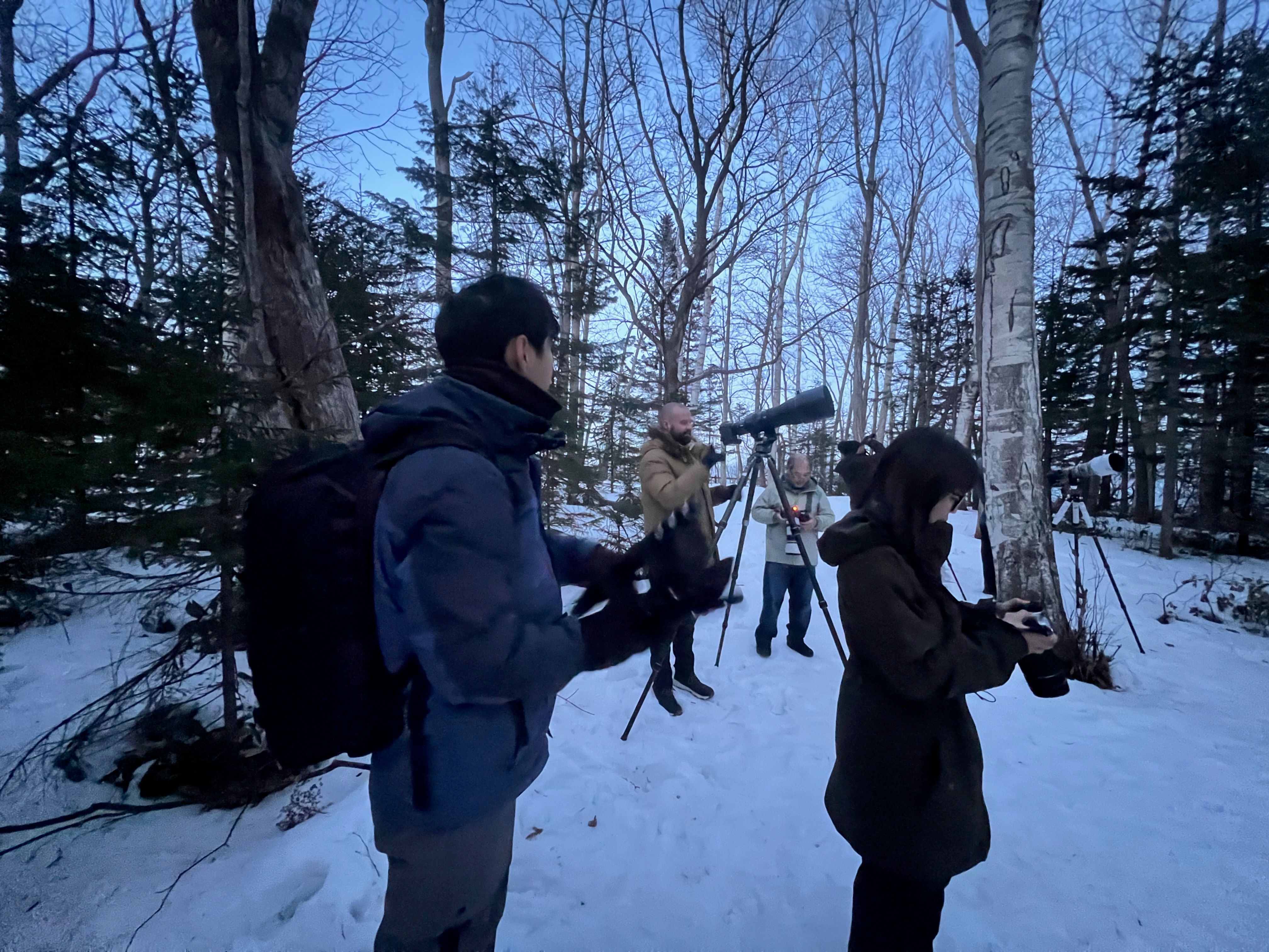 A group of photographers stand in a forest clearing at dusk, checking their camera settings.