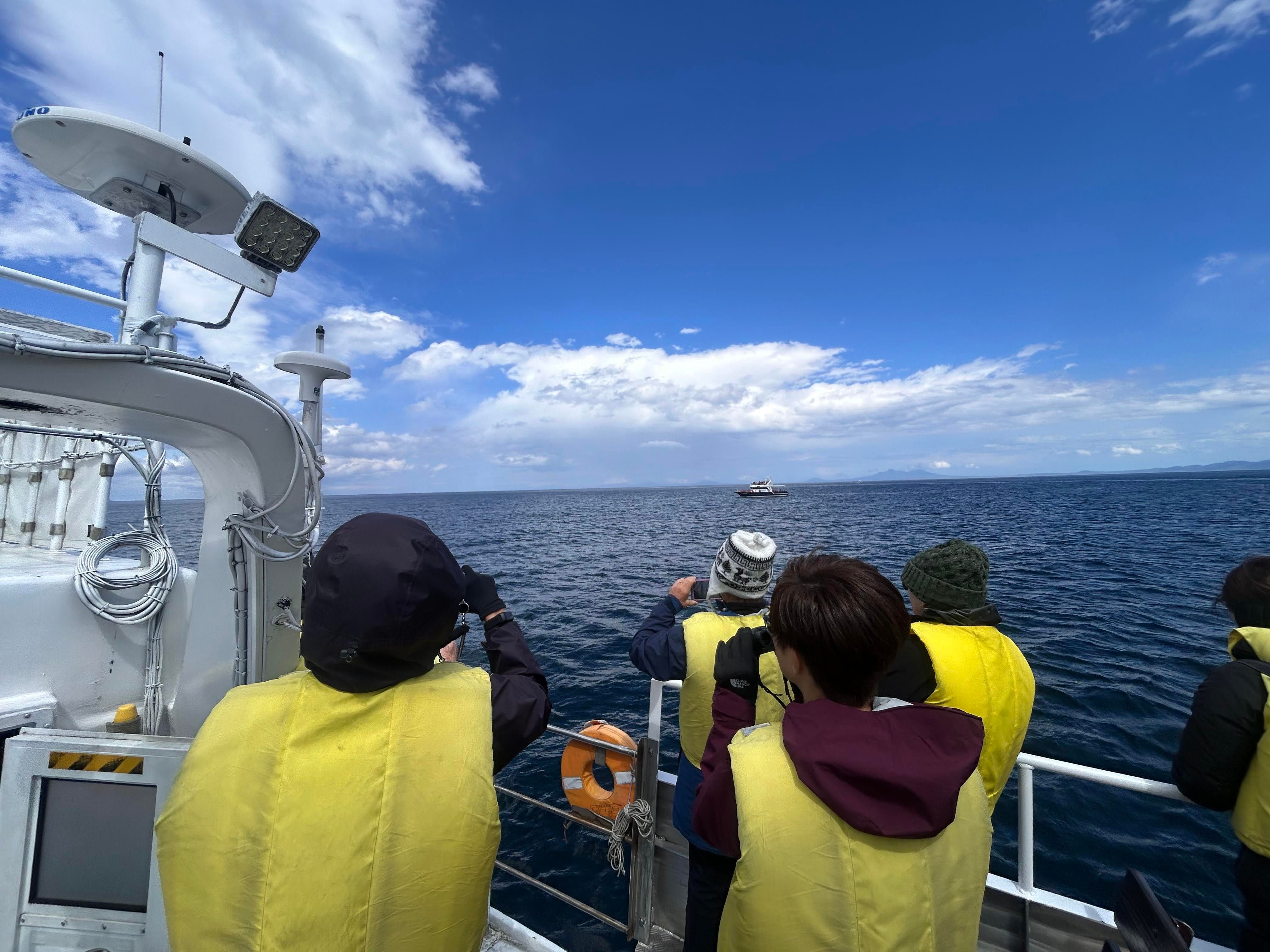 A group of people in life jackets stand on a boat and look out to sea with binoculars, searching for orcas. It is a very sunny day. The sky and sea are both blue.