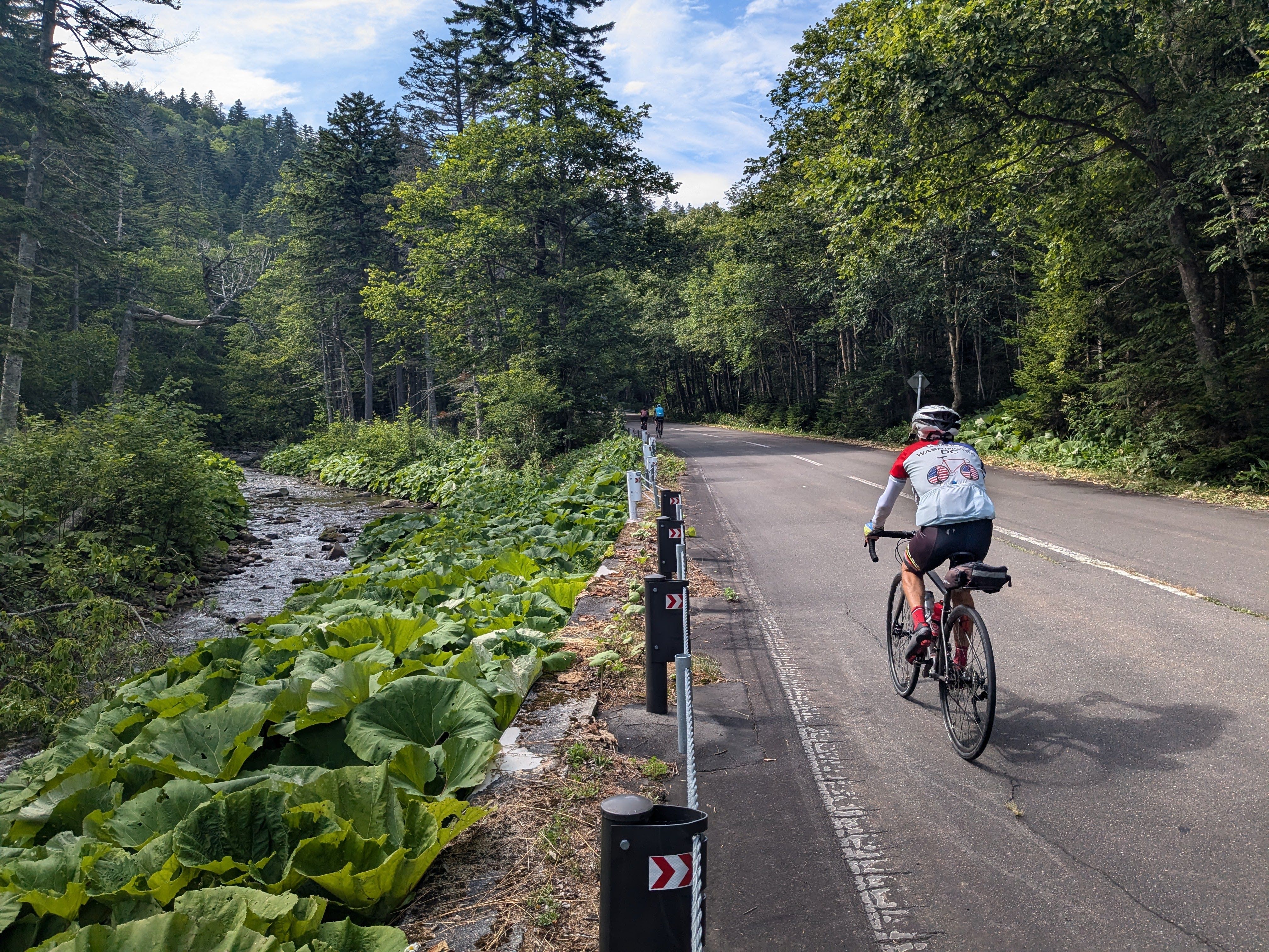 A cyclist rides past a mountain stream in Daisetsuzan National Park, Hokkaido.