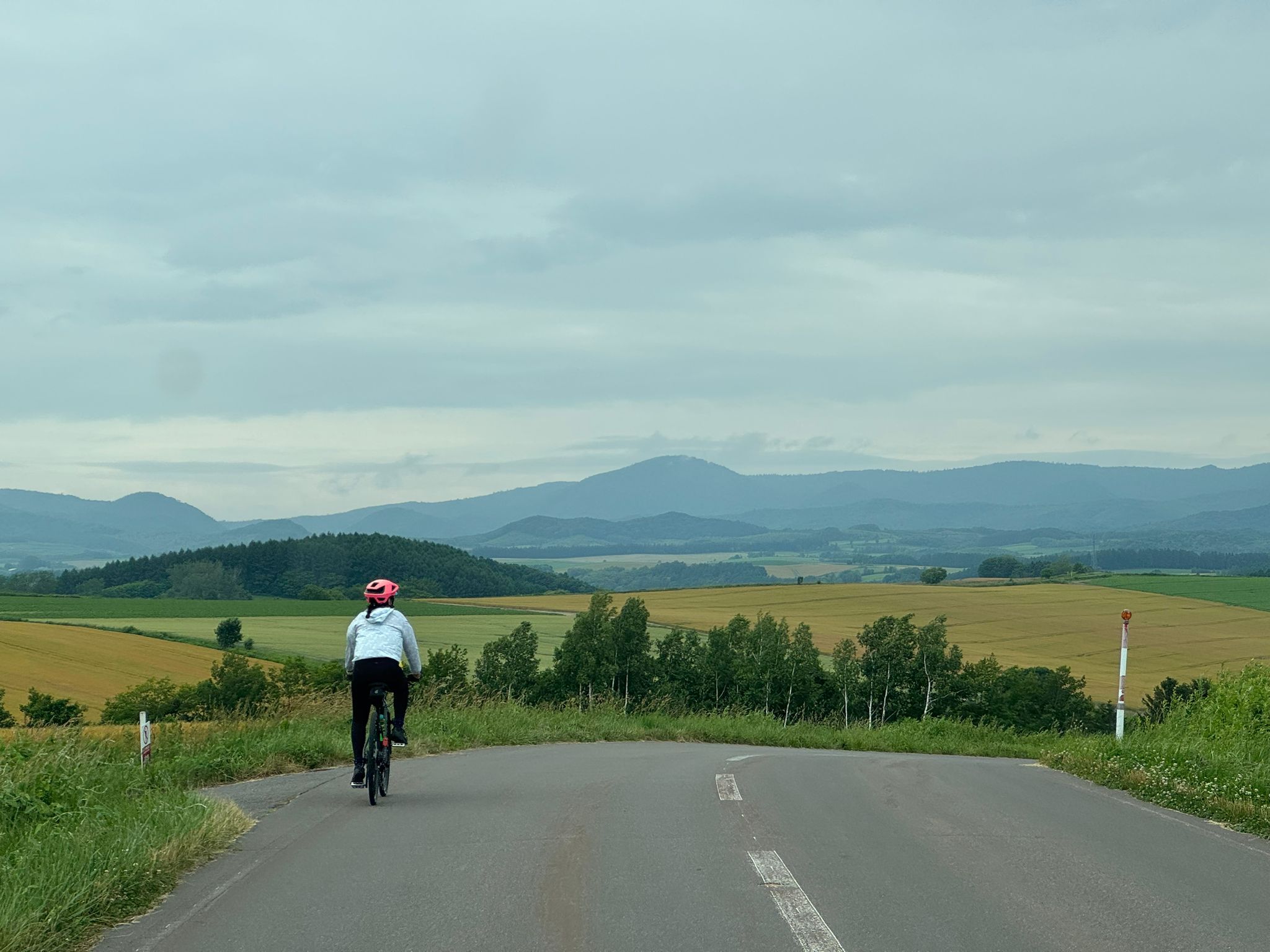 A cyclist takes a downhill curve in Biei, Hokkaido. In the distance are wheat fields in the process of changing colour.