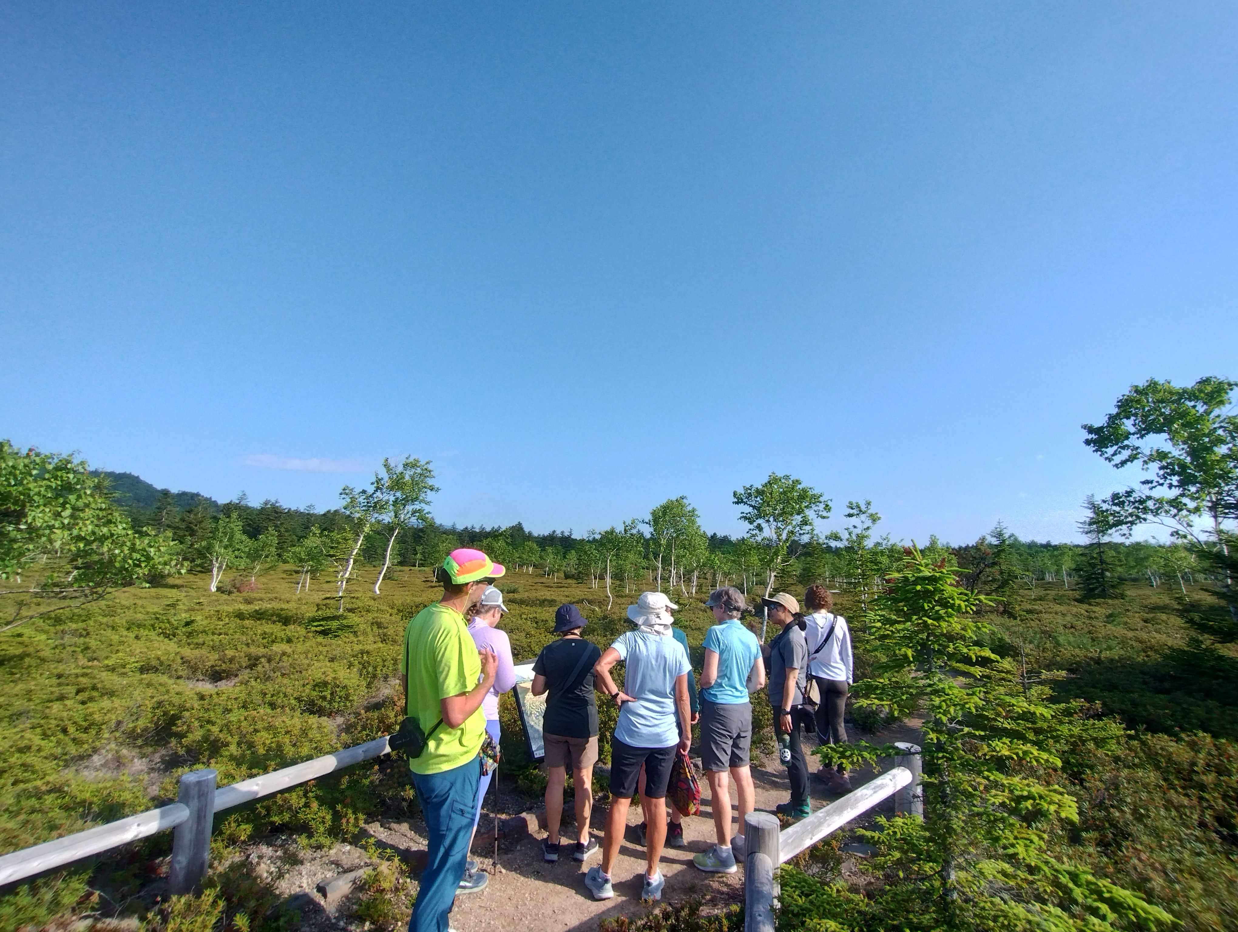 A group of hikers stand on a fenced path on the Tsutsujigahara Trail in Kawayu Onsen, Hokkaido. It is a very sunny day and there are no clouds in the blue sky overhead. The group is surrounded by alpine flora, despite being at a low altitude.
