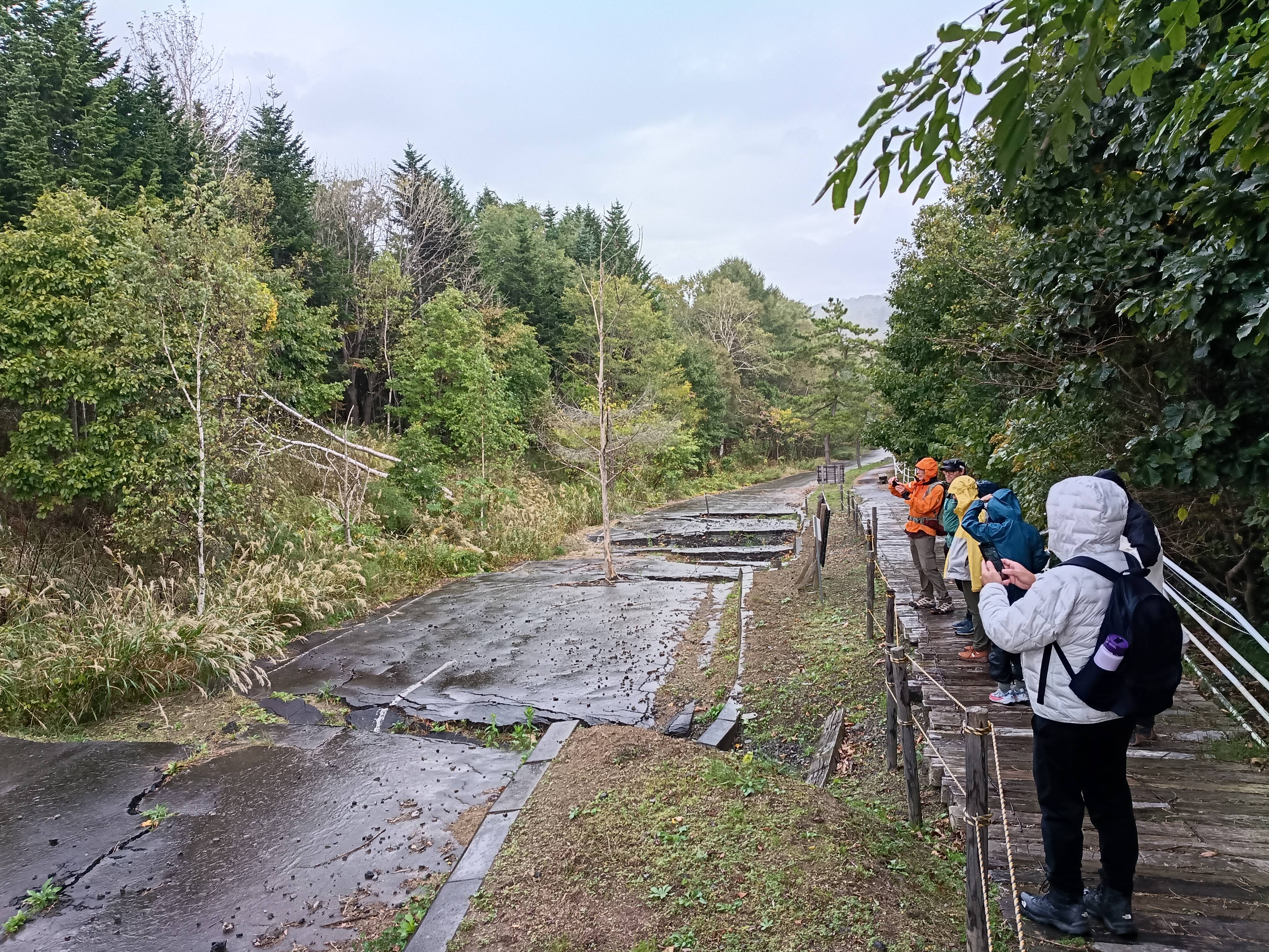 A line of hikers take photographs of a road buckled by volcanic forces. Time has passed and trees and greenery are growing up through the cracks in the road. It's a drizzly day and the hikers are wearing rain gear.
