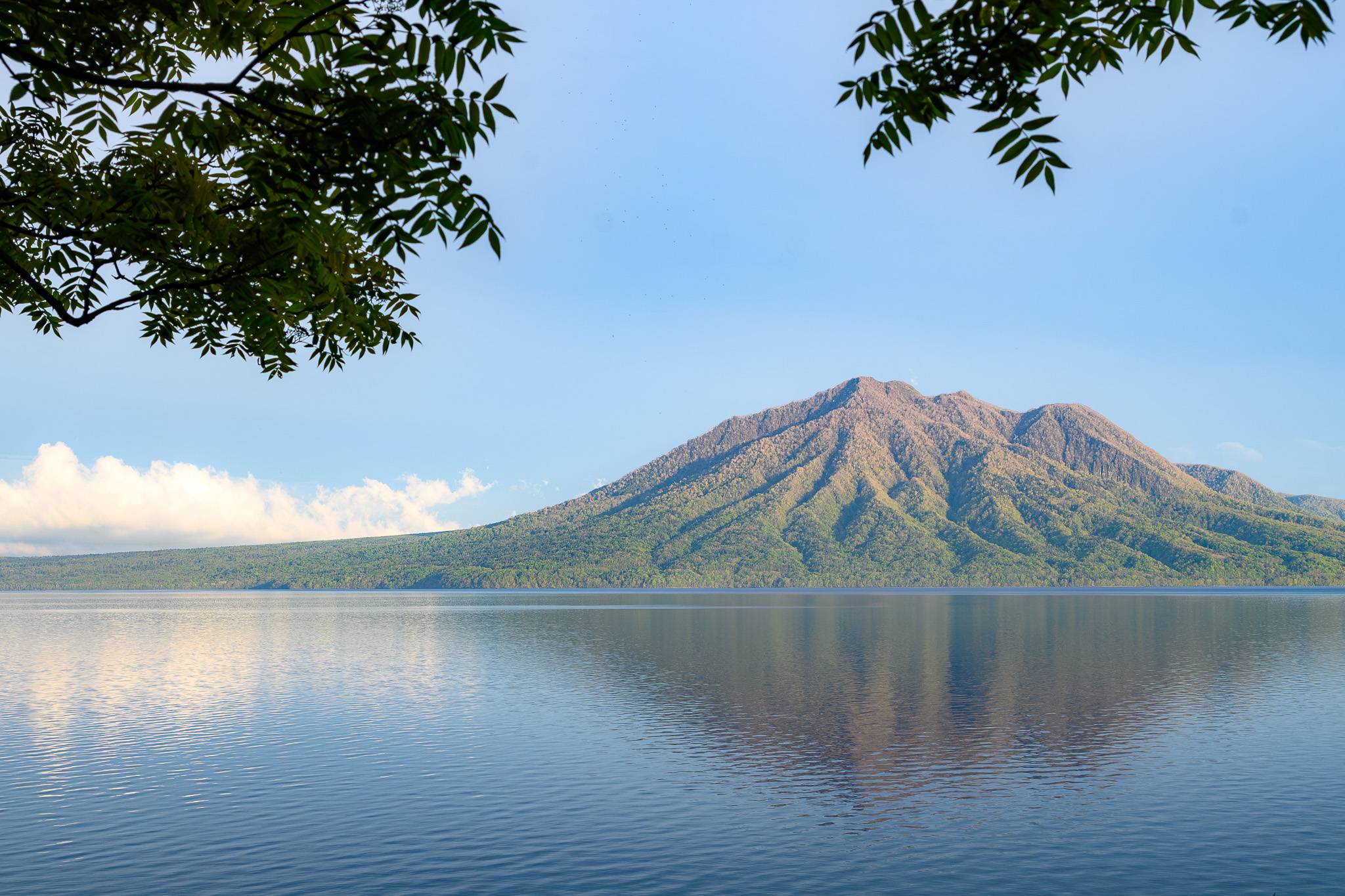 A view of Mt. Fuppushi from the Lake Shikotsu shoreline. It is a clear day with one cloud on the horizon. The mountain is reflected in the lake. The leaves of rowan trees frame the image.