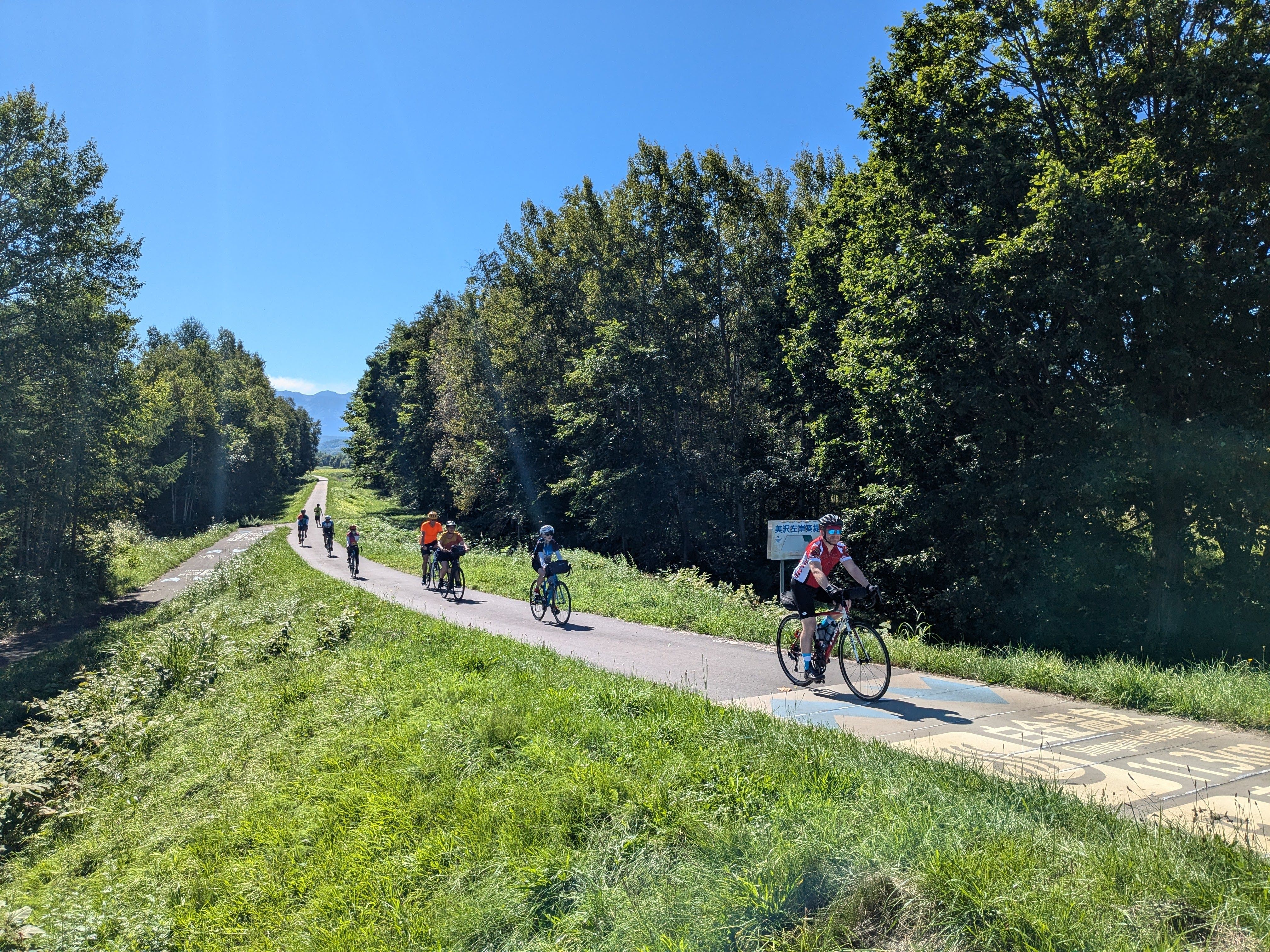A line of cyclists follow a cycling path alongside a river. It is a bright and sunny day and green trees are all around.