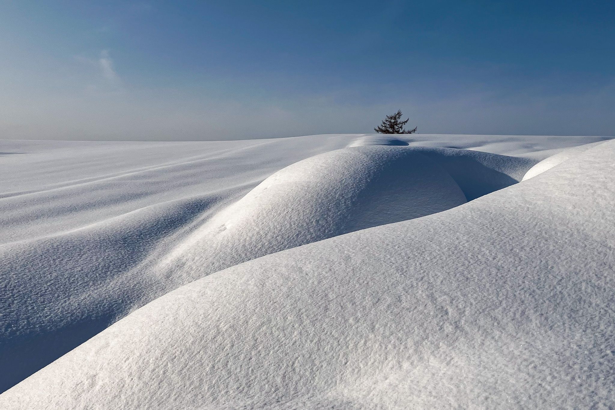 A winter landscape. Snow mounds cast unusual shadows. In the distance, a top of a fir tree is visible.
