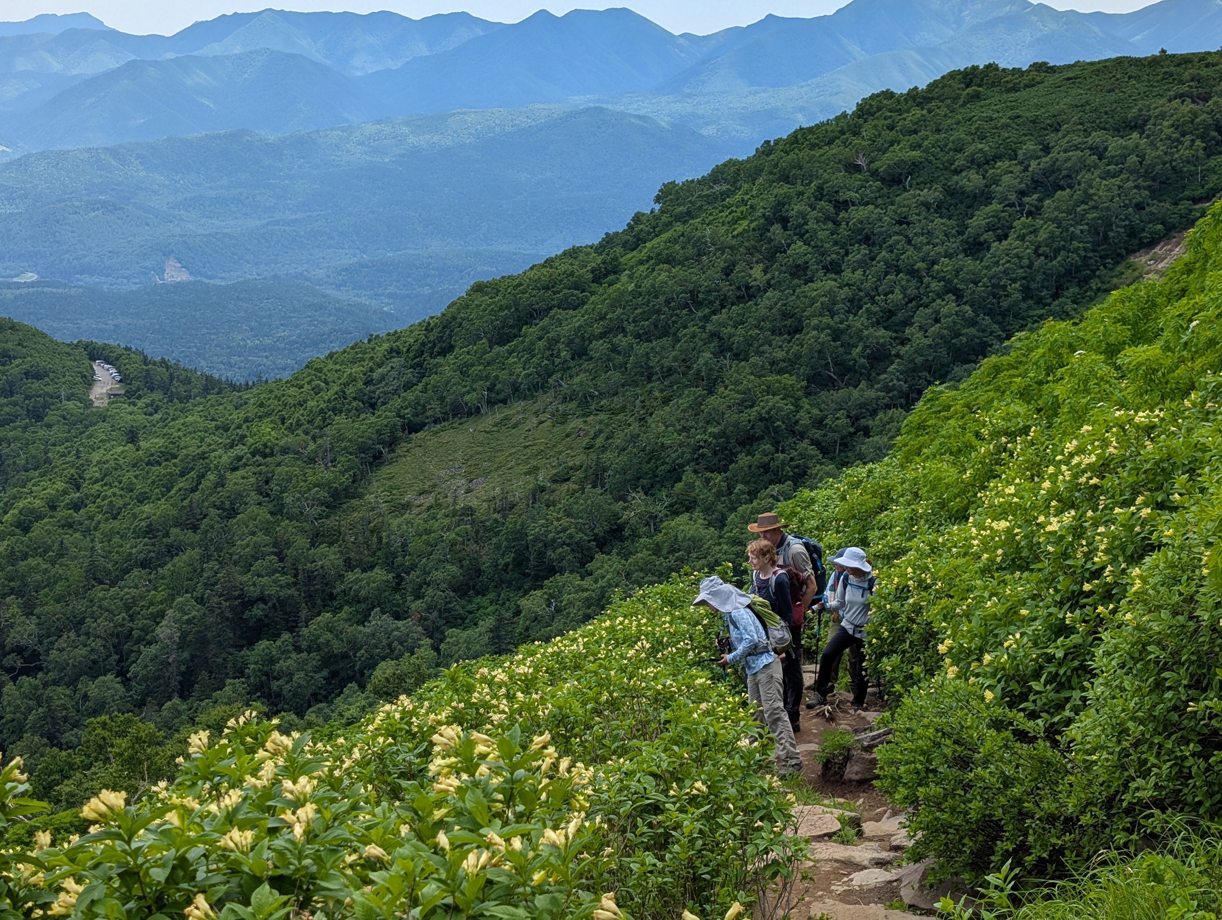 A group of hikers stop to admire blossoming flowers on a mountain trail in Daisetsuzan National Park in spring. A mountainous valley is visible in the background behind them.
