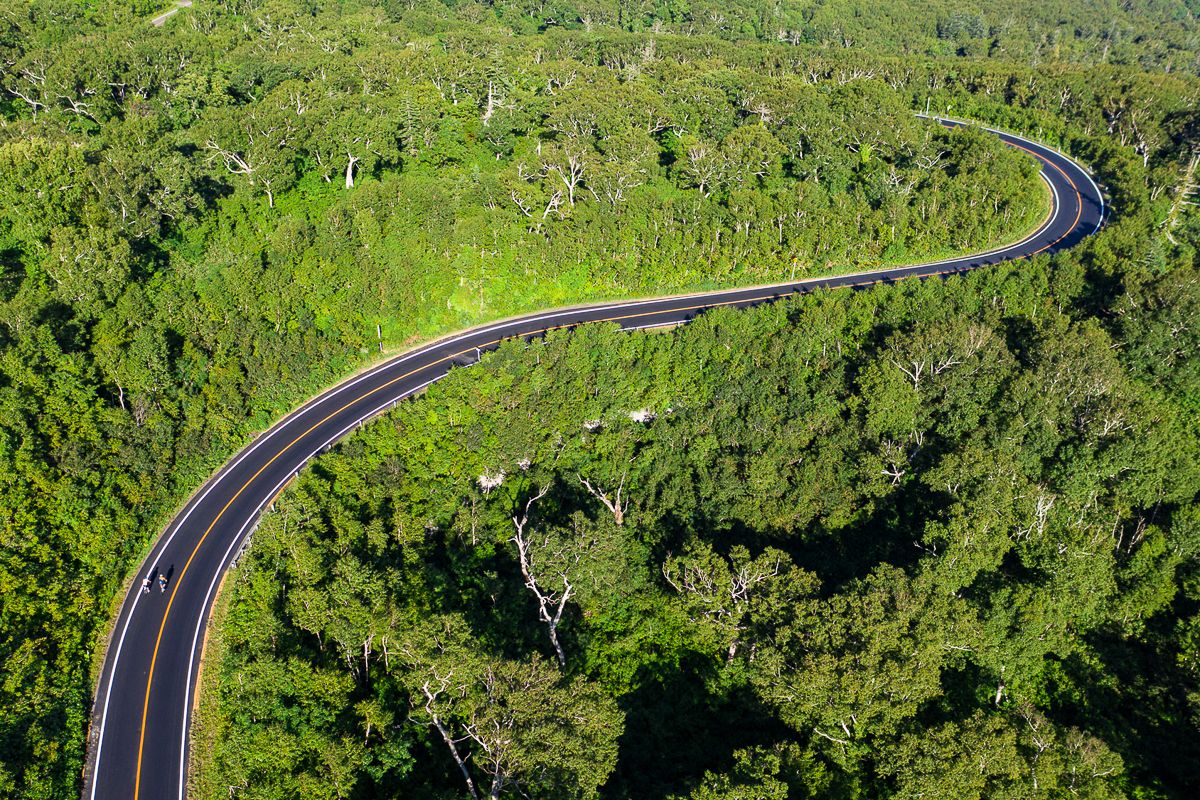Road through Niseko Mountains