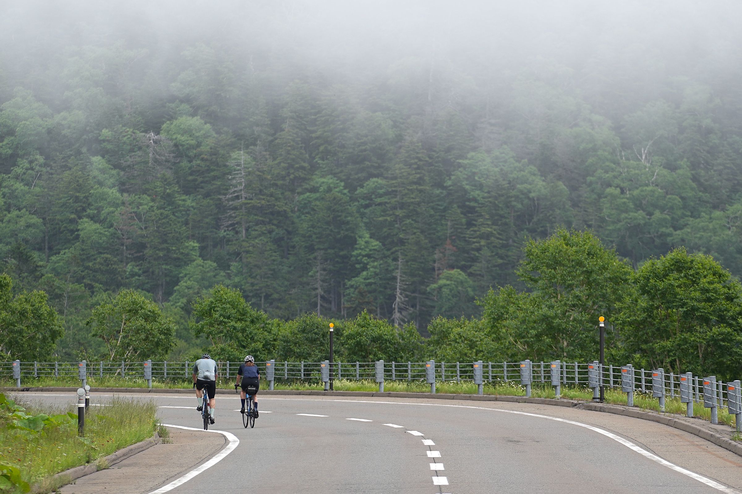 Two cyclists approaching a curve on Hokkaido's rural road surrounded by green forests.