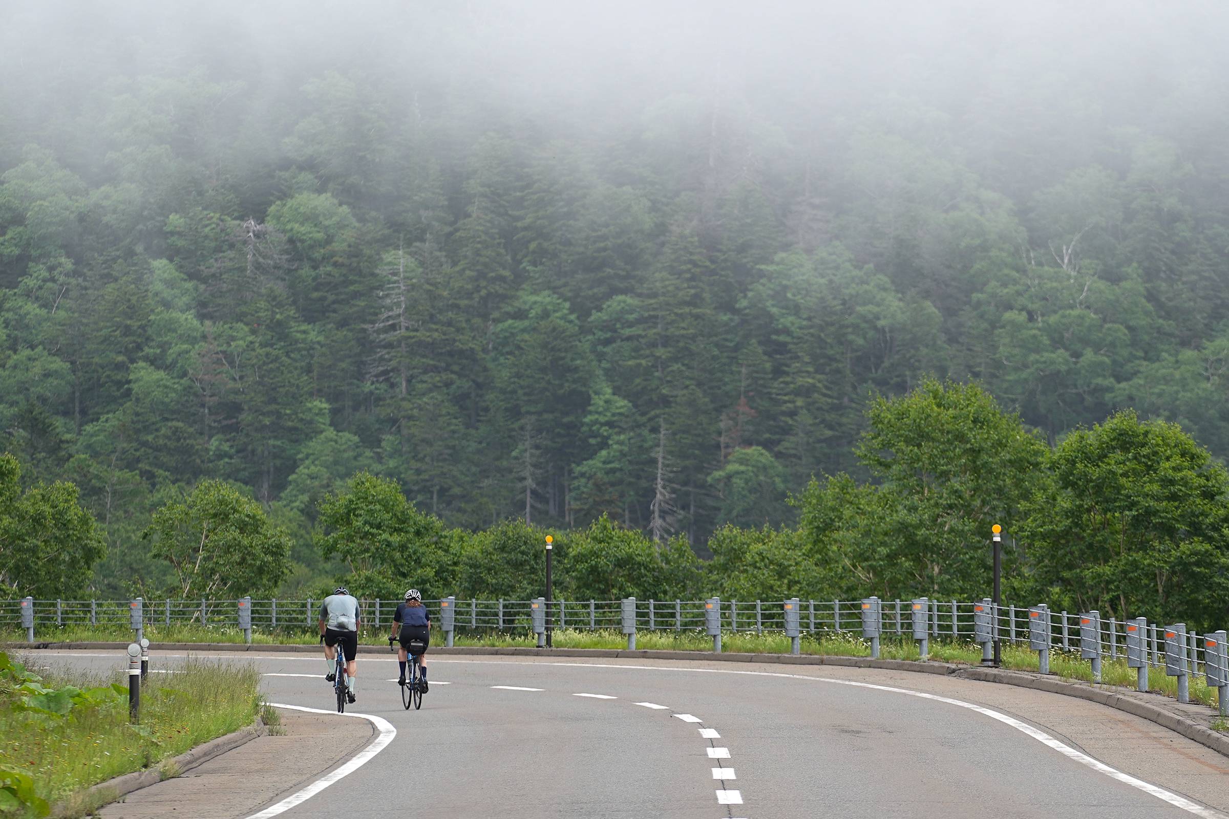 Two cyclists approaching a curve on Hokkaido's rural road surrounded by green forests.
