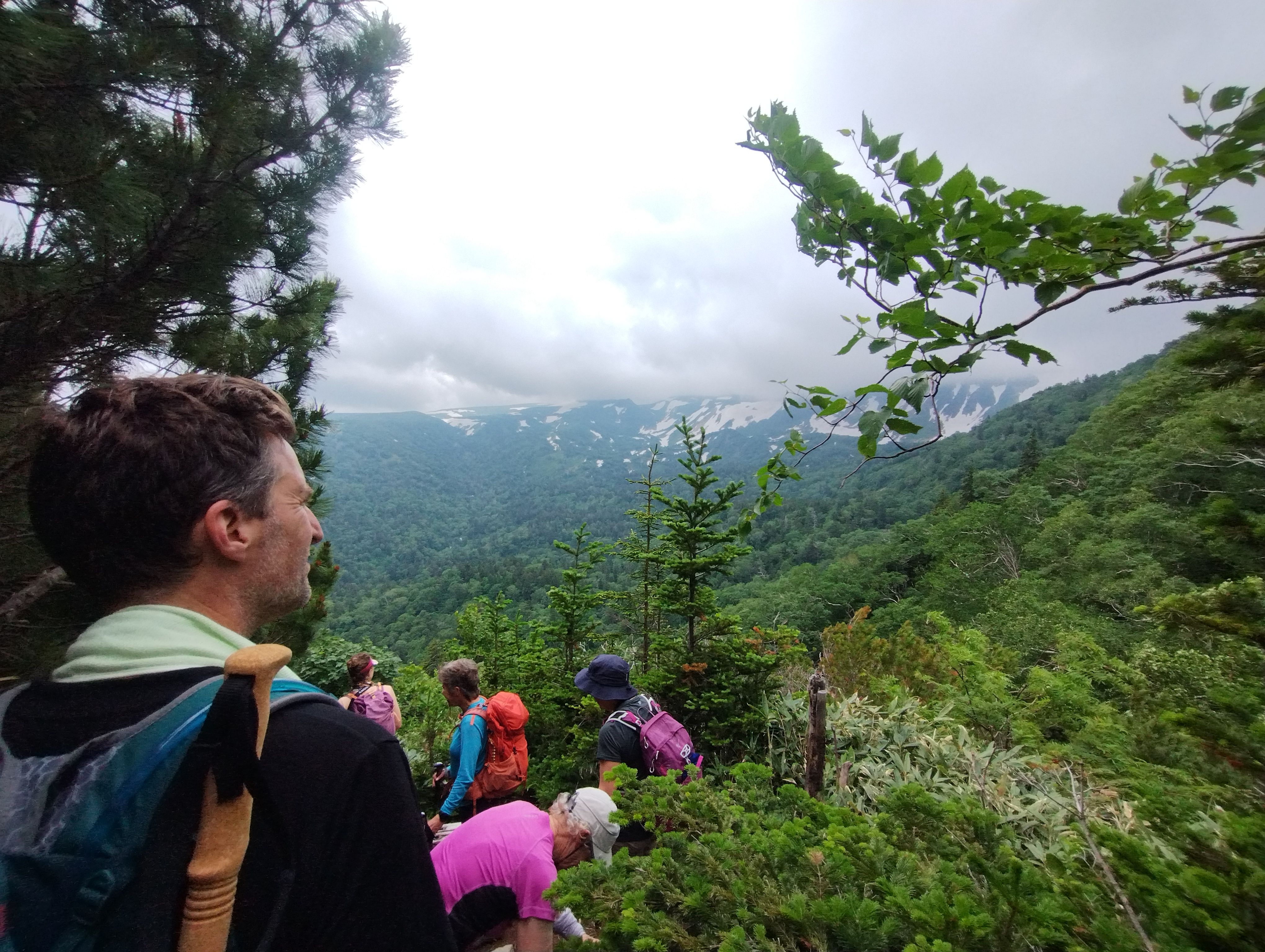A group of hikers descend a mountain through a forested trail in Hokkaido.