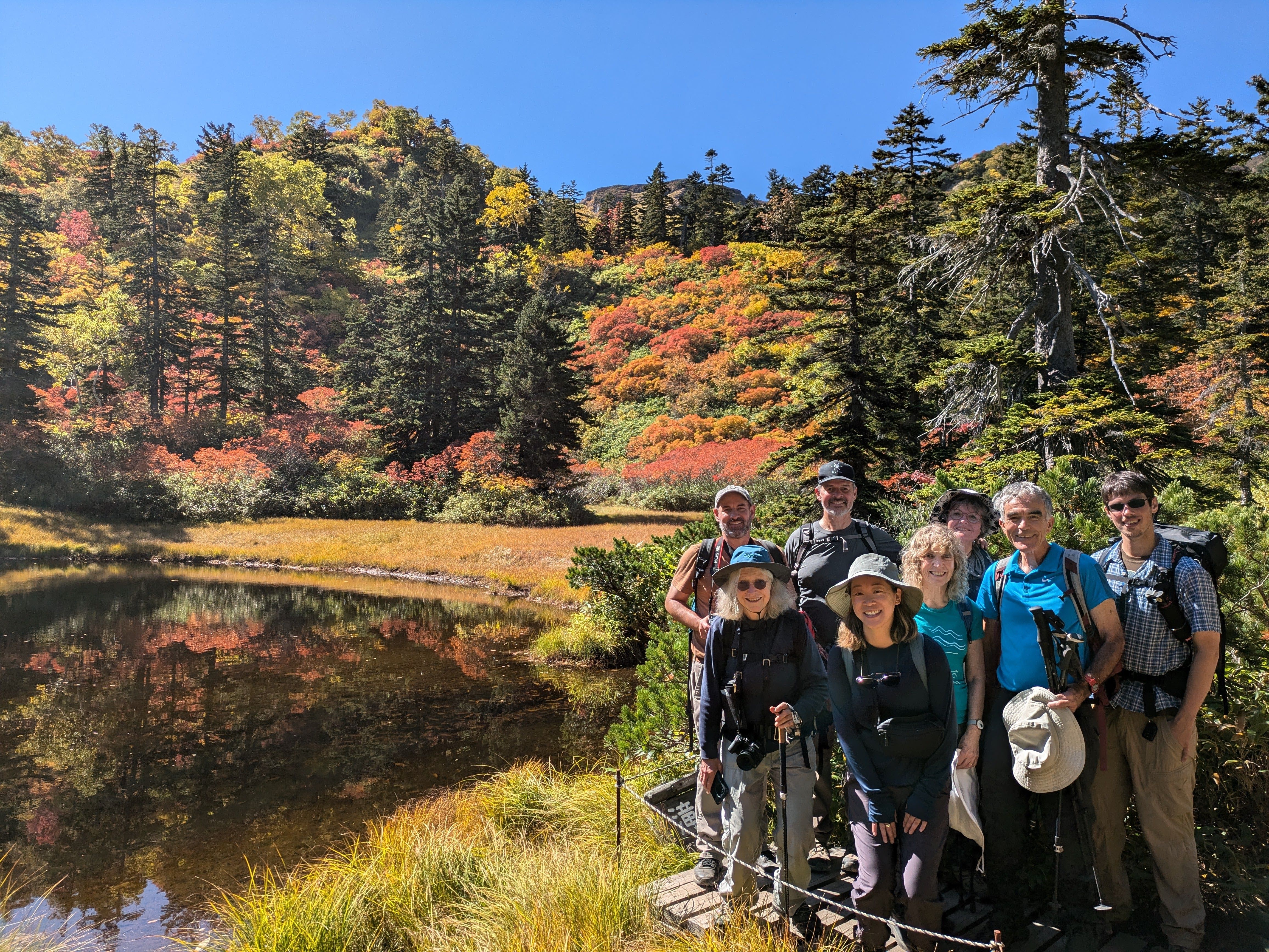 極。山採りアセビ。 Around Daisetsuzan 6 Day Hiking Tour 2024 - Adventure Hokkaido