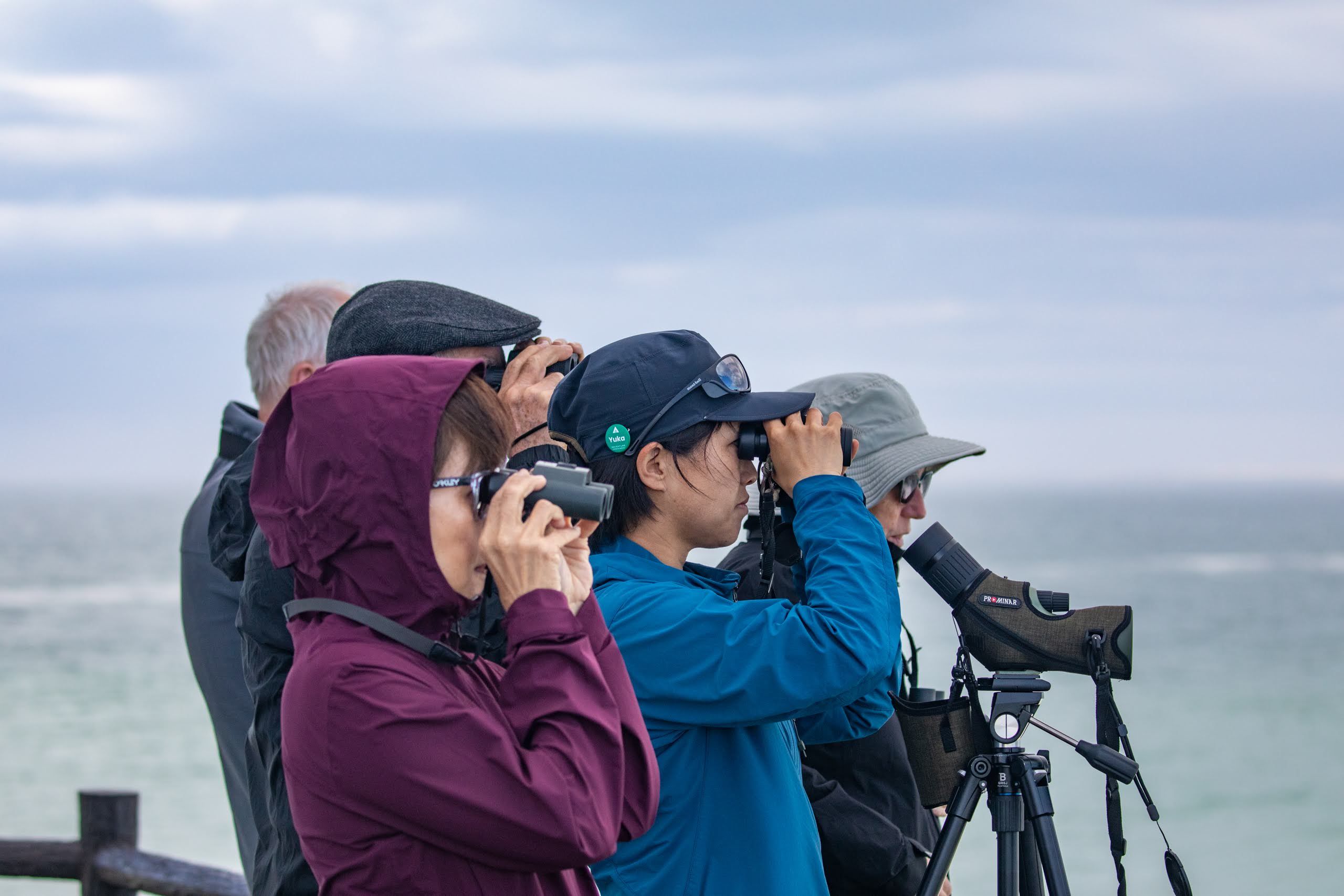 A group of people hold binoculars to their eyes on the Kiritappu Peninsula, Hokkaido. They are looking out to sea in search of sea otters.