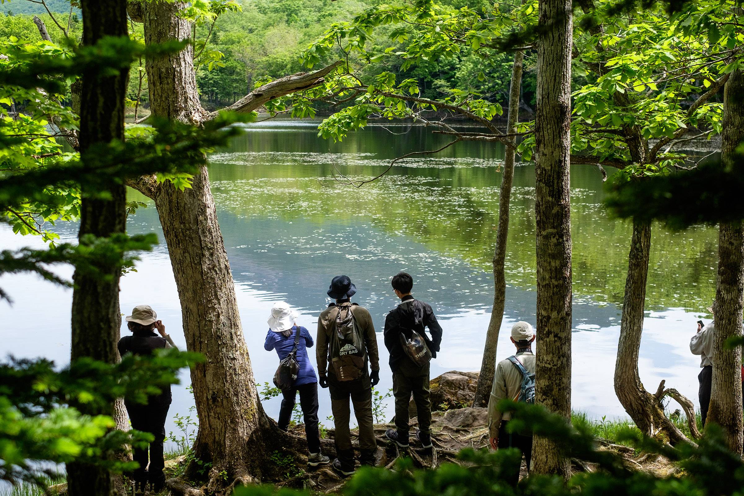 On a wildlife walk, a small guided group stands on the shore of a tranquil lake at Shiretoko, framed by leafy green trees. They look out at the water, taking photos.