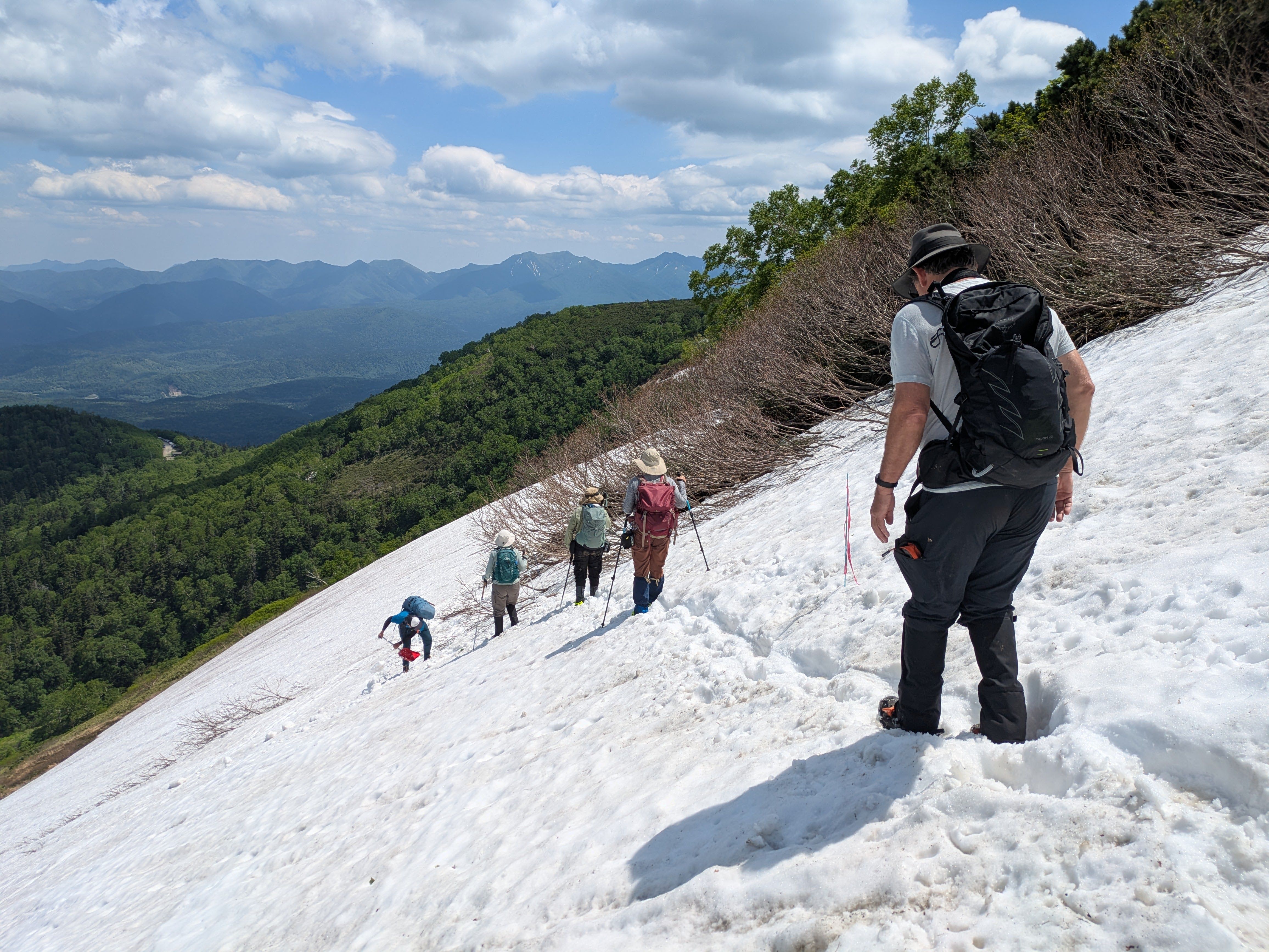 A hiking guide leads a group of four other hikers down a steep, snow-covered slope in Daisetsuzan National Park. The guide is actively cutting steps into the snow as they descend under a blue, partly cloudy sky. The other hikers follow with trekking poles, and a vast, lush green forest and distant mountains are visible below the snow.