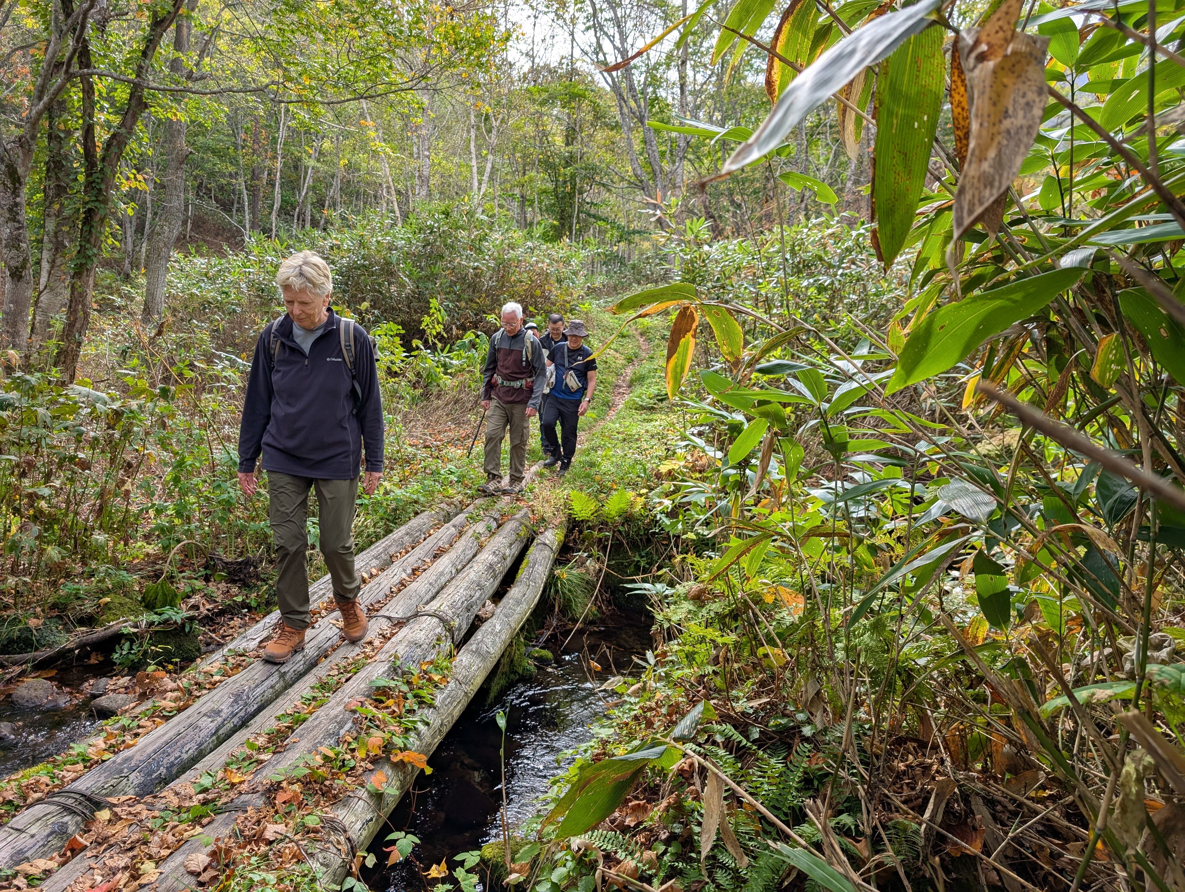 A group of hikers cross a log bridge spanning a small stream in a forest.