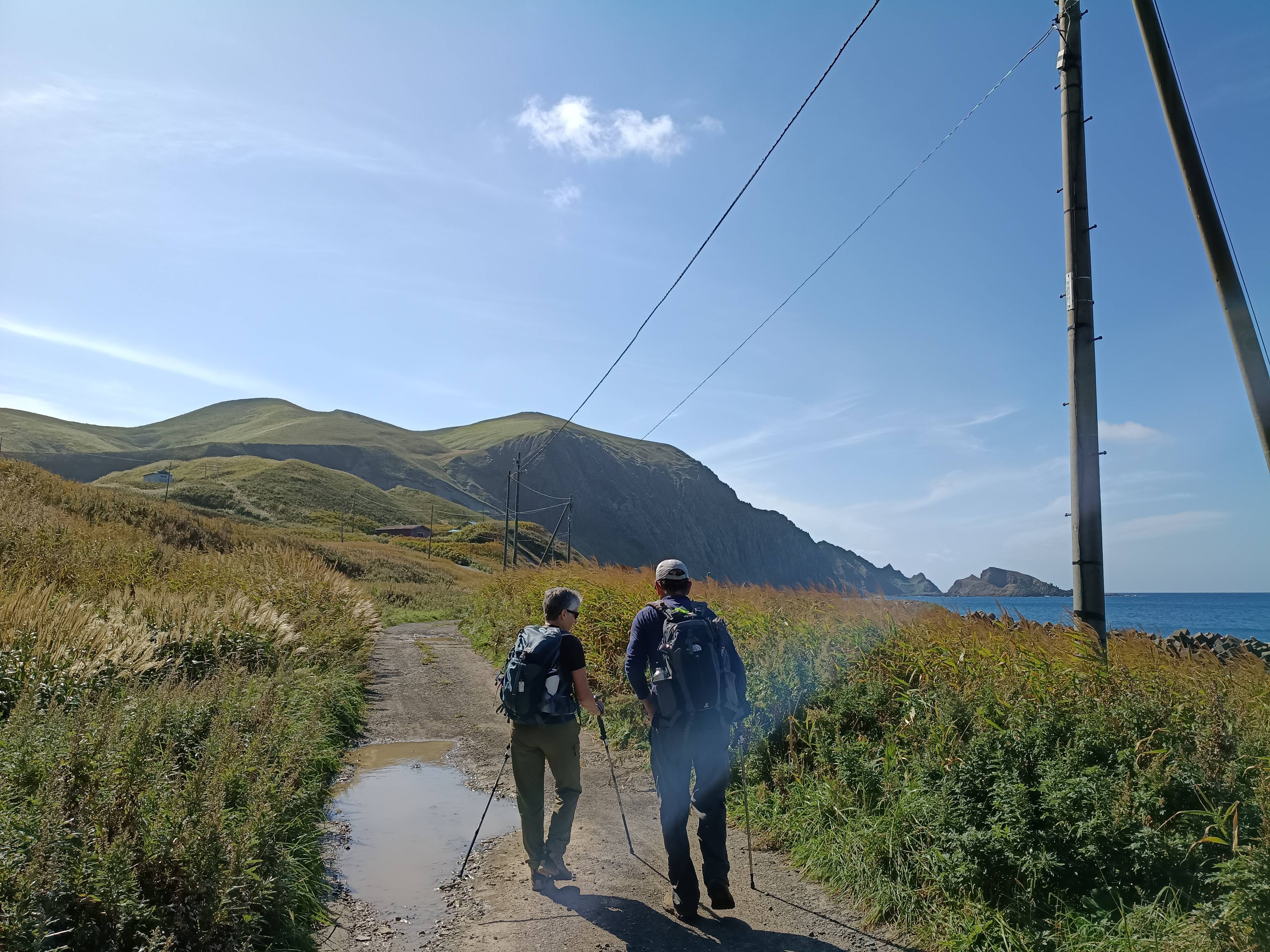 A couple walk along a wet dirt road on a sunny day. It is early autumn and pampas grass blooms in the fields around them. The ocean and a coastline are visible beyond.