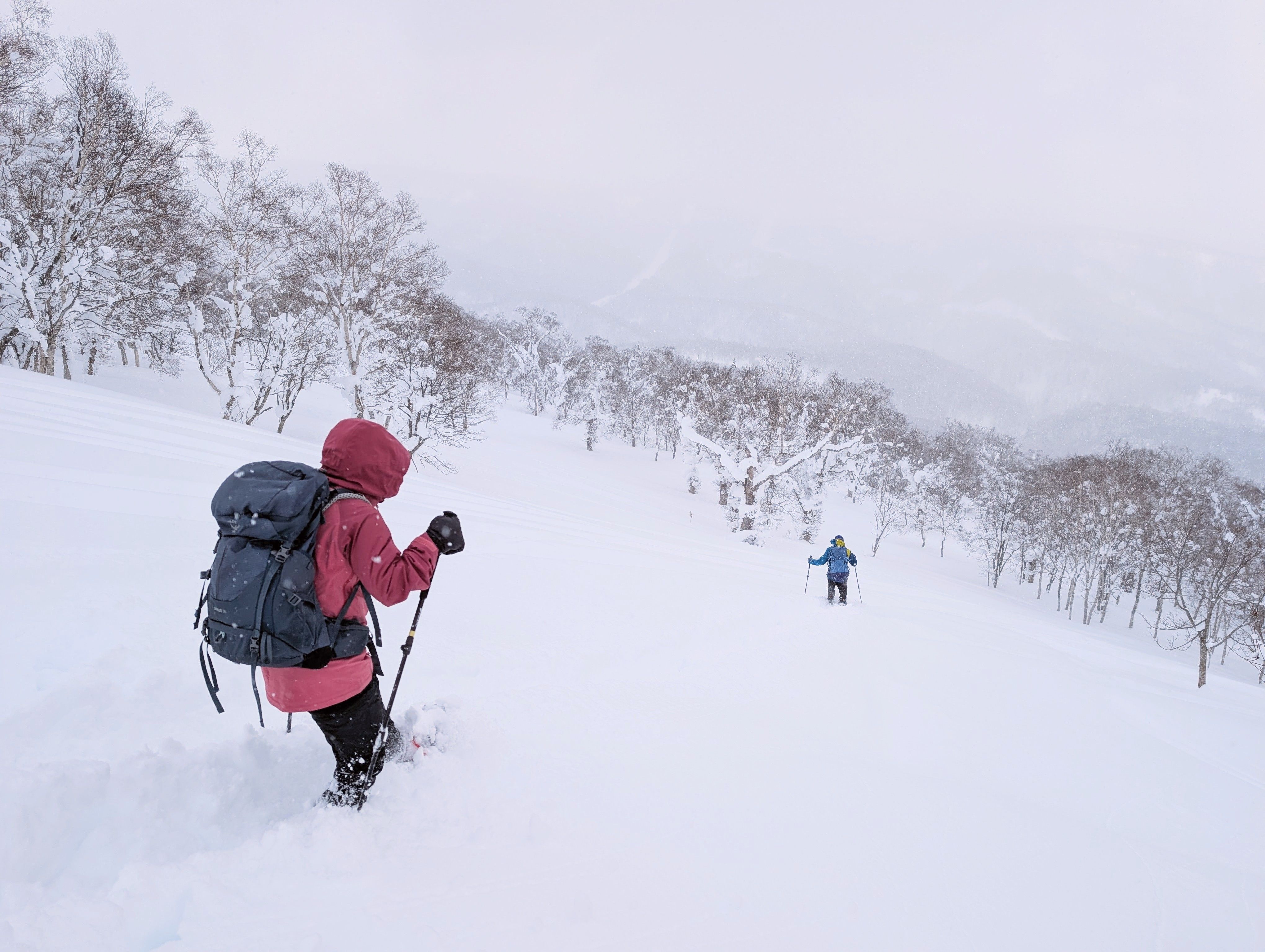 Two hikers snowshoe through deep powder on Mt. Kokimobetsu, Hokkaido. A person in a pink jacket and navy rucksack follows a leader in blue into a misty valley. Both use trekking poles to navigate the steep, snow-laden winter landscape.