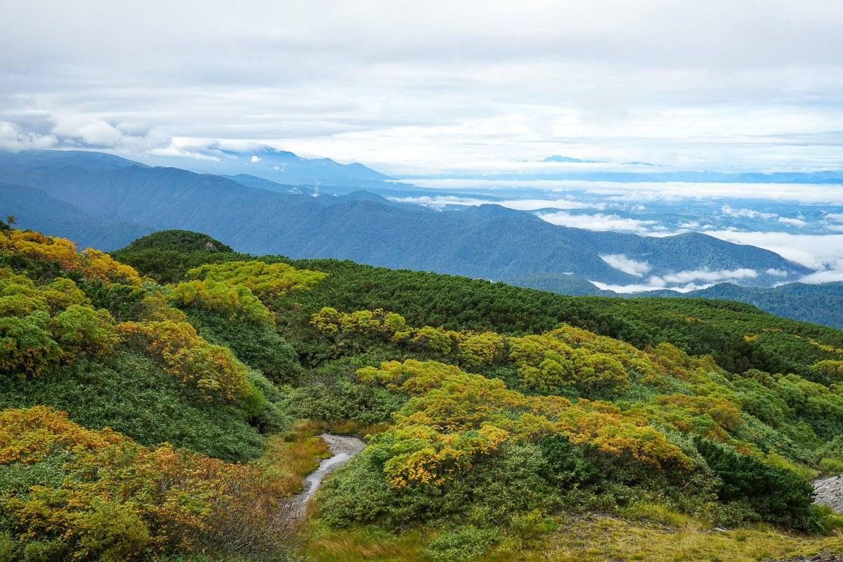 View from Asahidake Ropeway