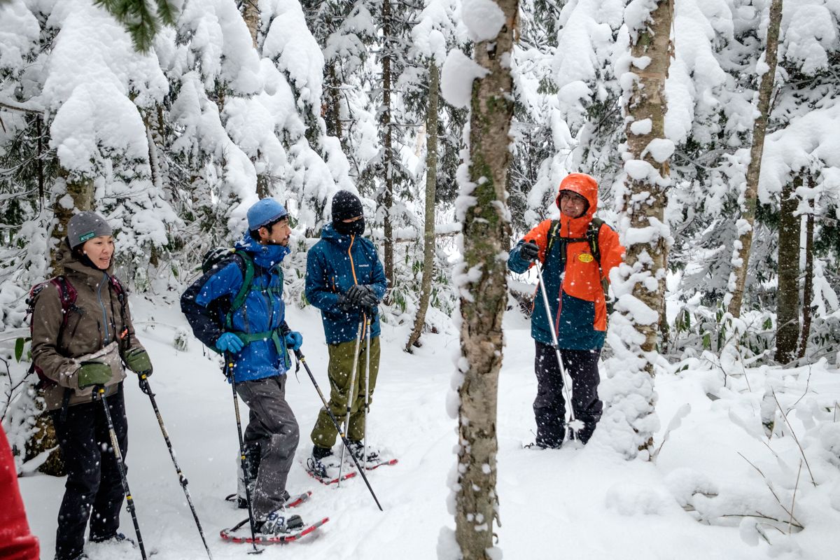 Snowshoeing in Shirogane's primeval forest