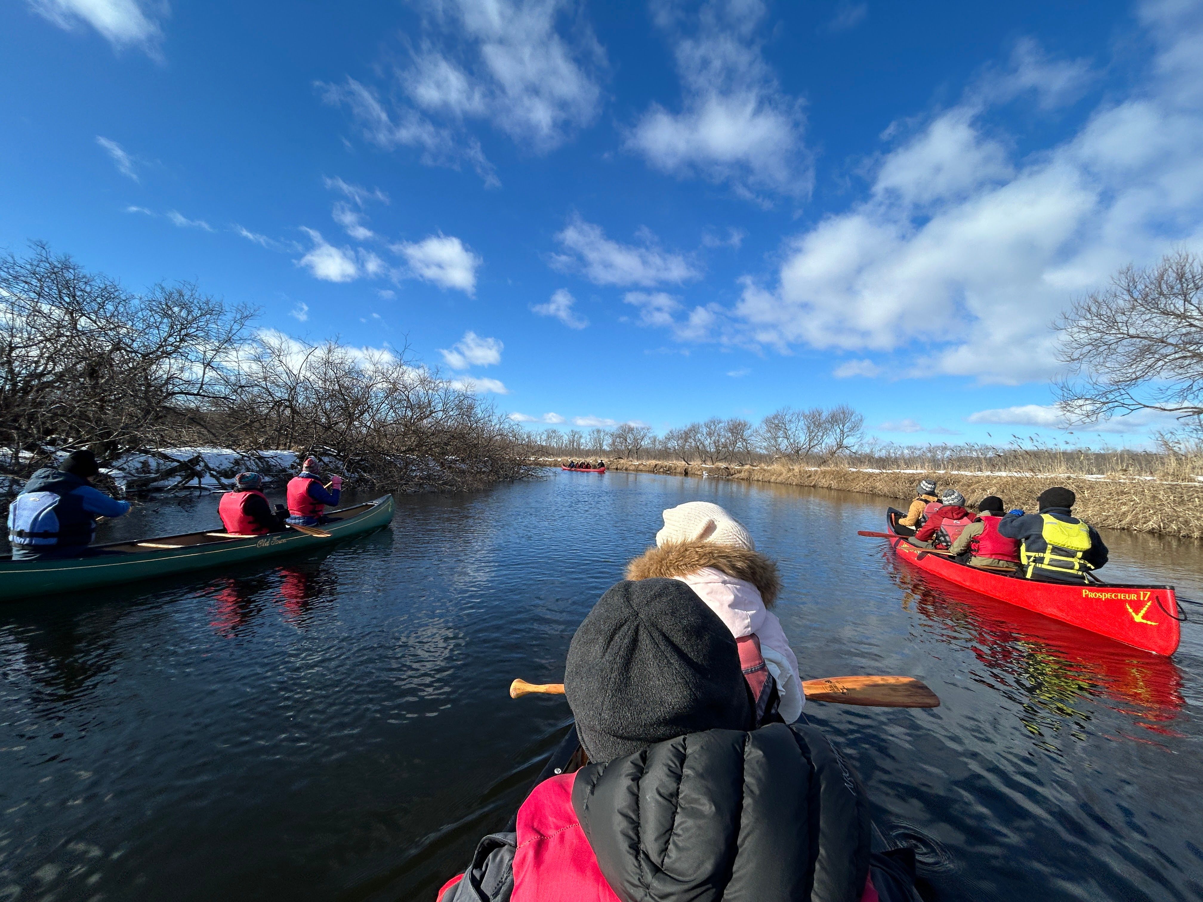 Three canoes row down a river in the Kushiro Wetlands, Hokkaido. It is a sunny day with a few clouds in a deep blue sky.