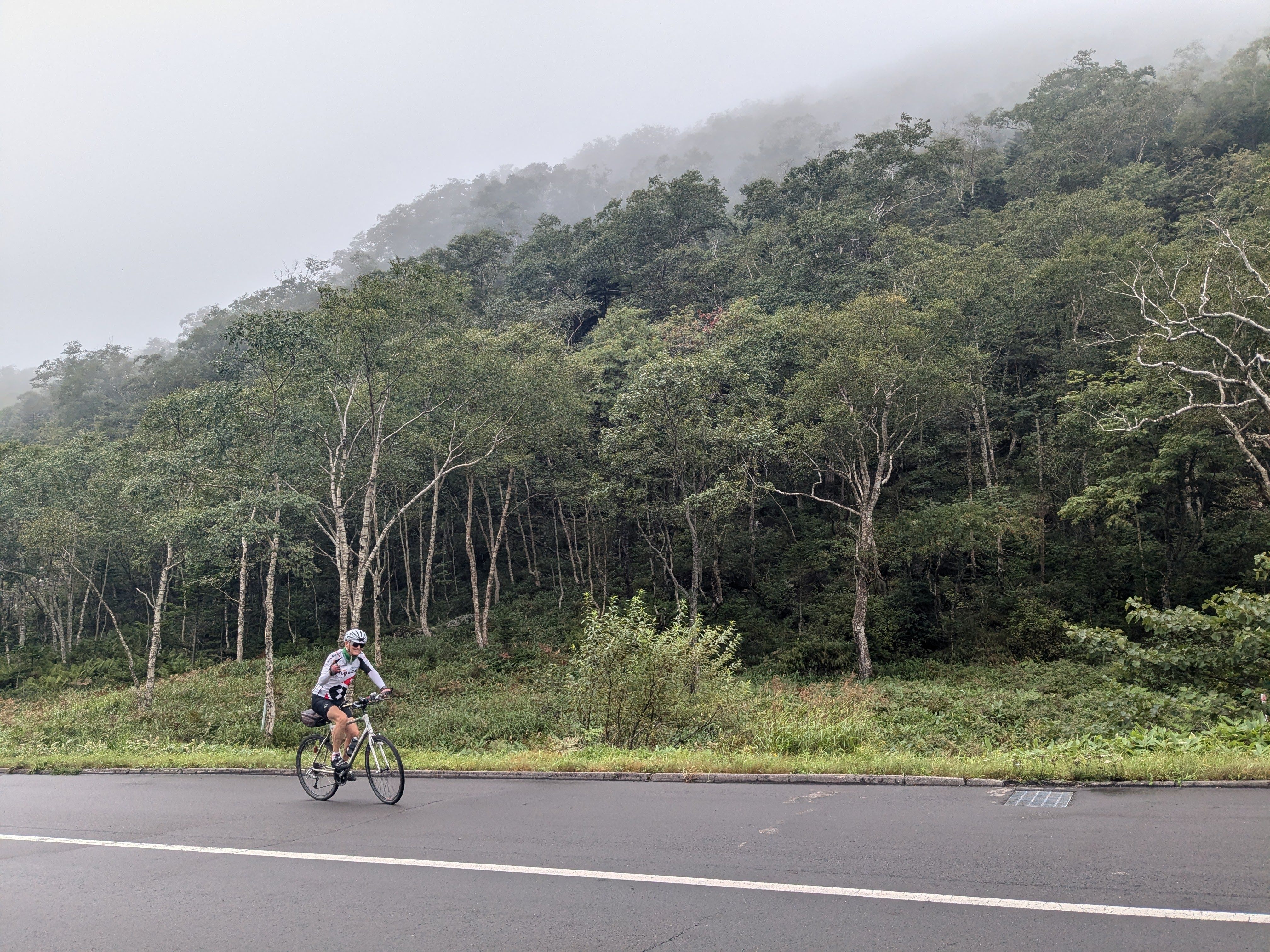A man cycles on a road past a birch forest on a mountainside. It is cloudy and the mountain is shrouded in mist.