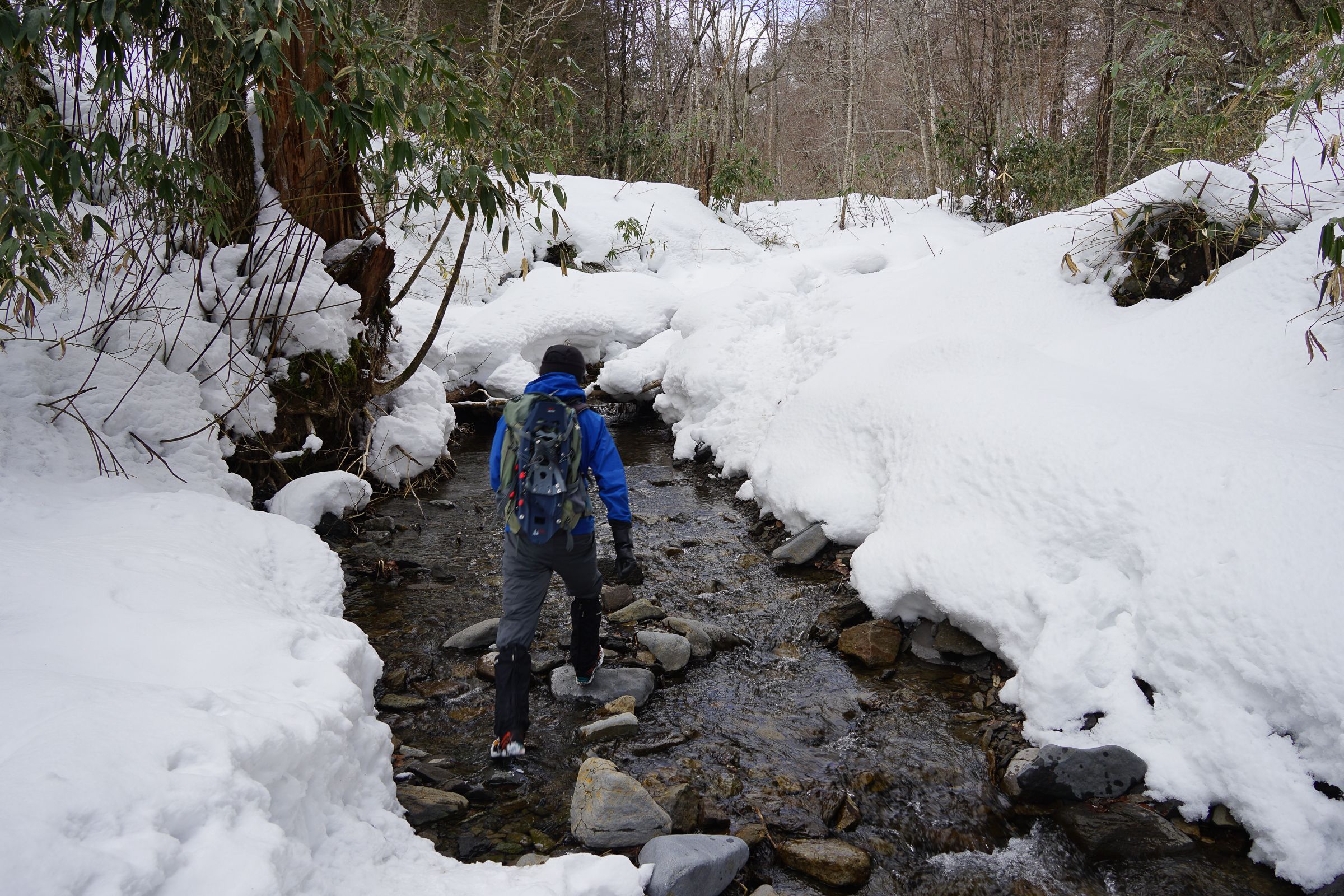 A winter hiker in a bright blue jacket and rucksack with attached snowshoes carefully crosses a rocky stream in a snow-covered forest near Shiraoi, Hokkaido. They are winter hiking through deep snow and bare trees.