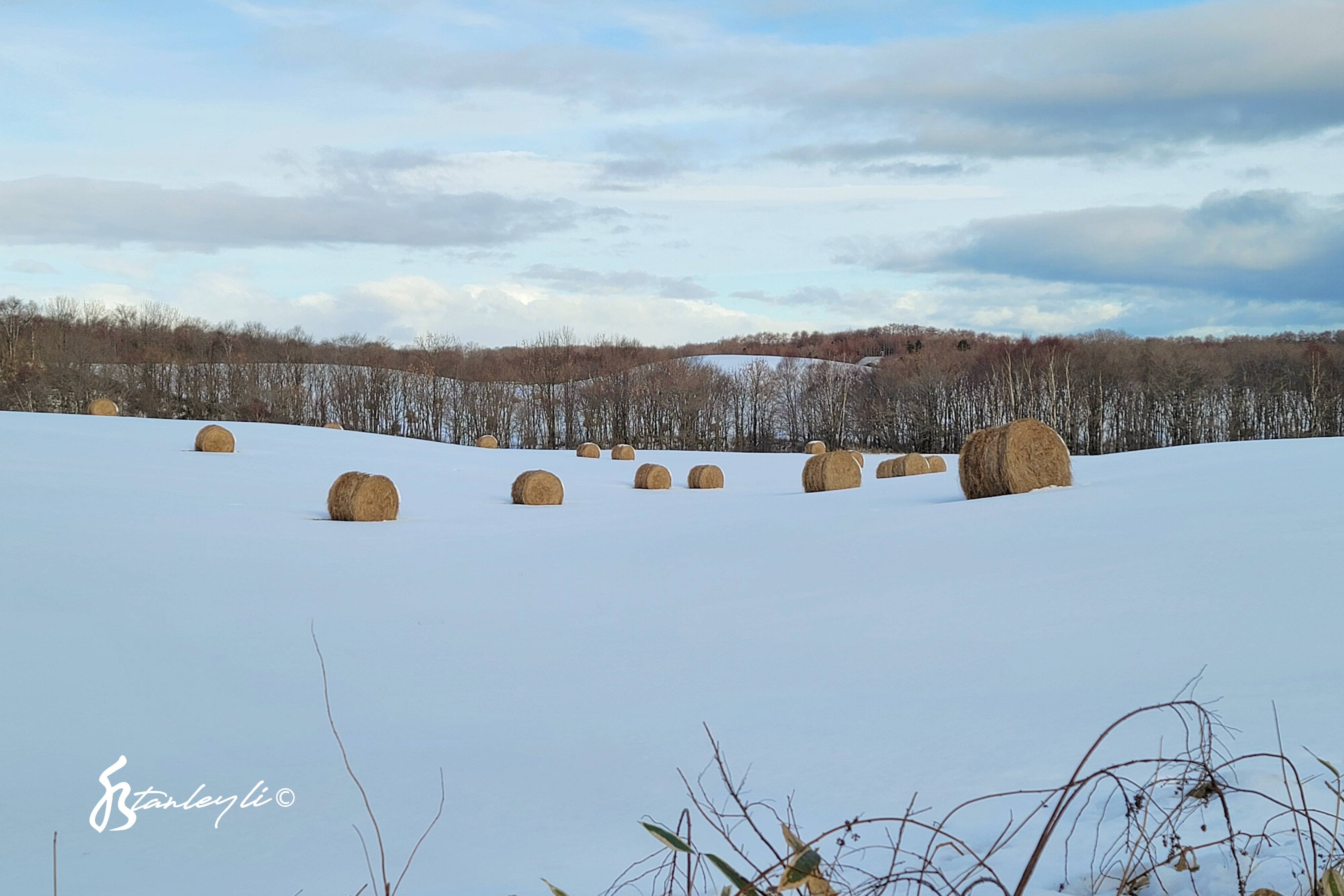 Hay bales sat out in a snowy field.