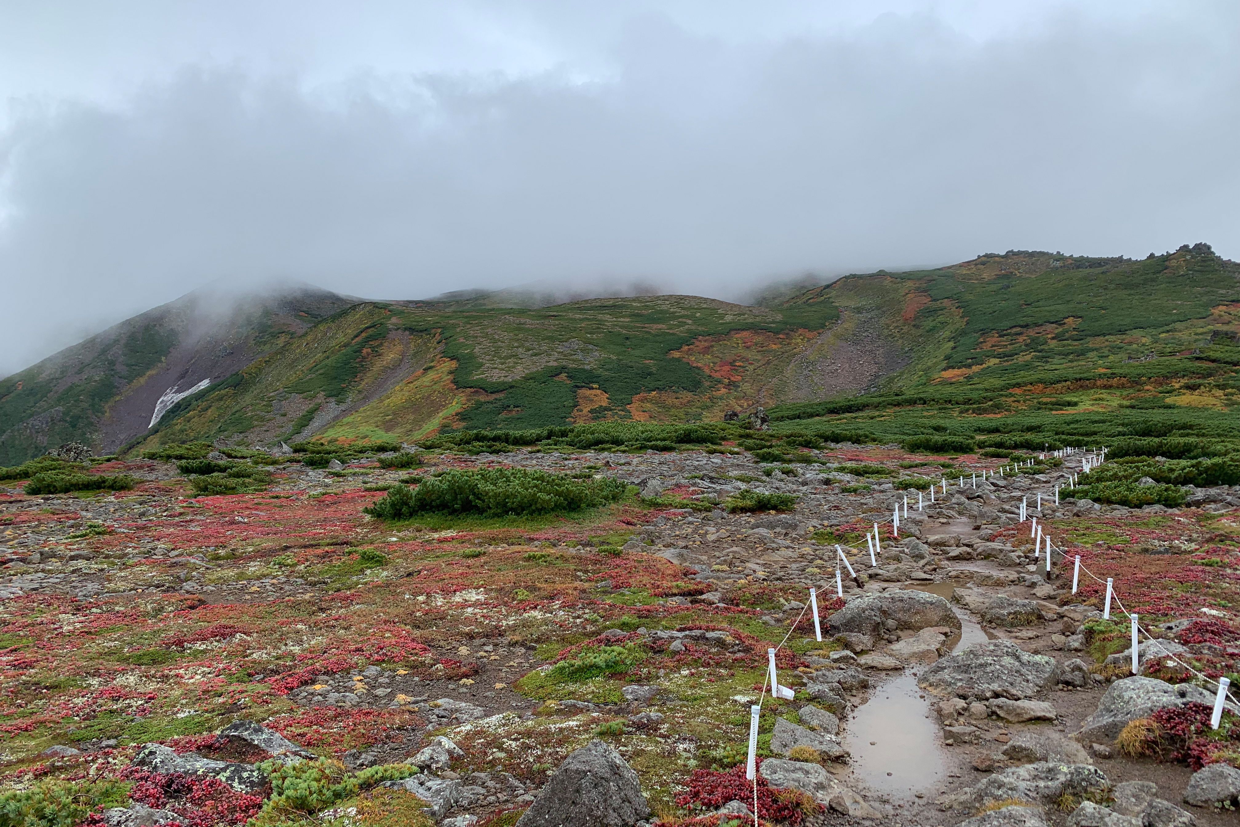 Patches of red line a hiking trail in Hokkaido. The sky is cloudy and the nearby peaks are wrapped in cloud.