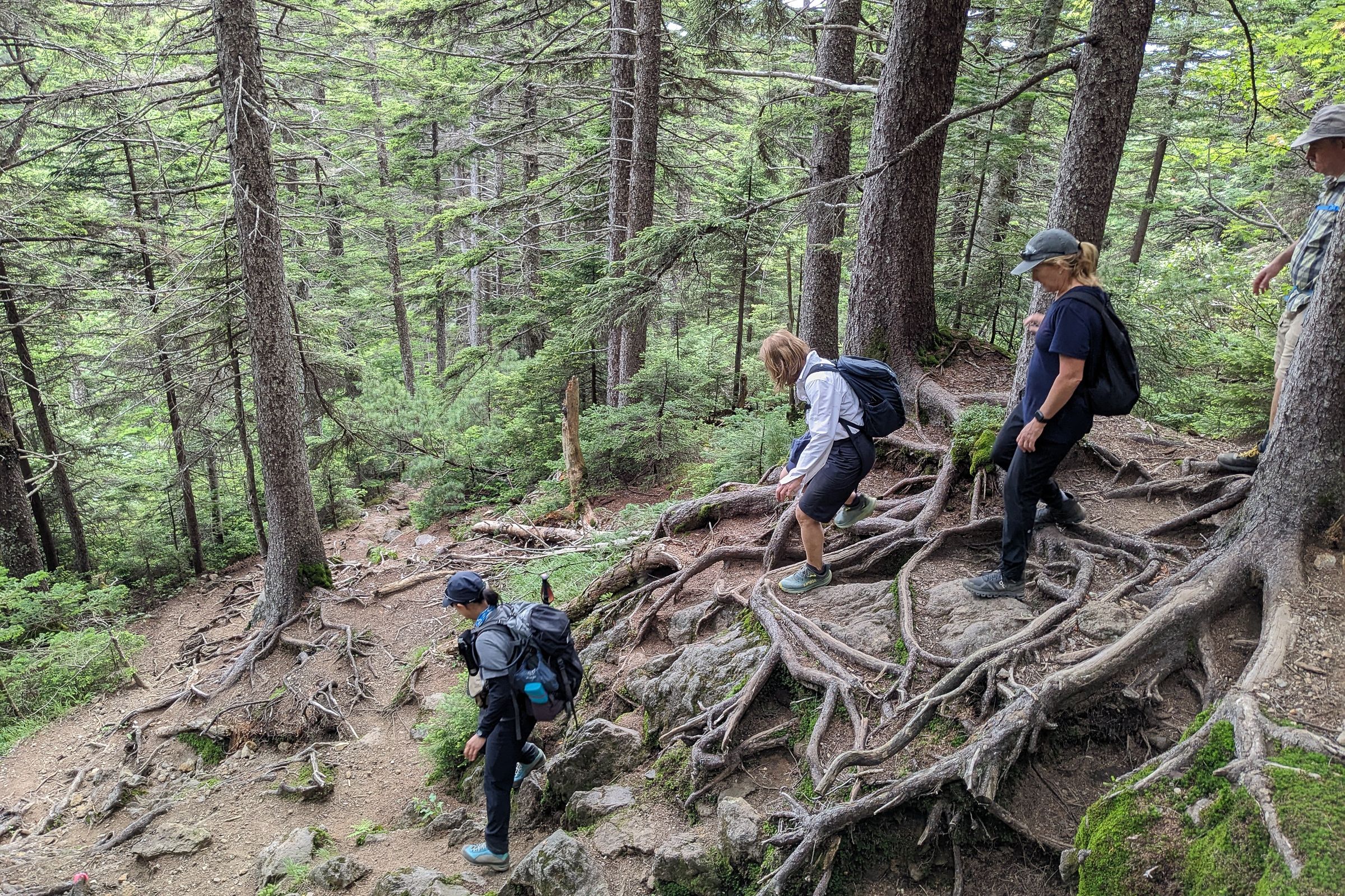 Hiking down the forests in the foothills of Mt. Meakan.