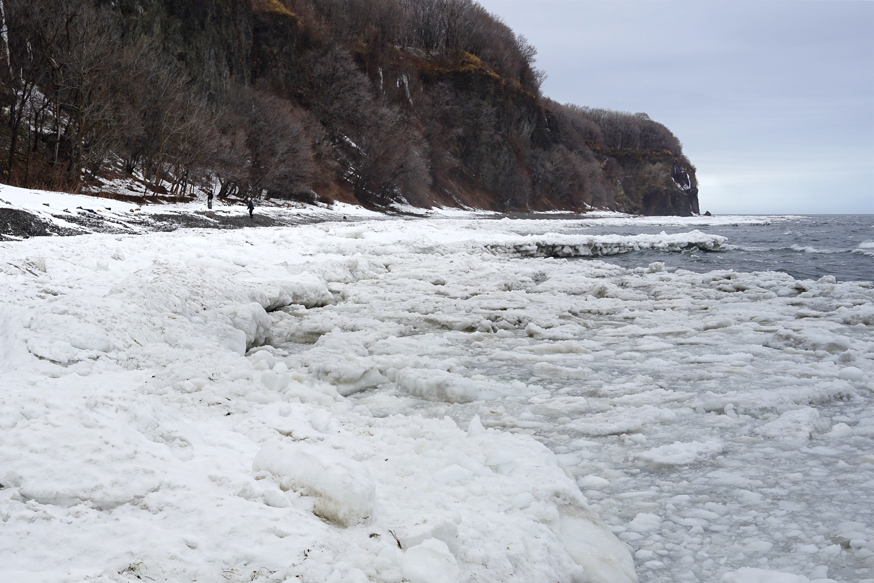 A rocky coastline near Cape Notoro, Hokkaido, features a steep cliff with bare trees. Thick, white drift ice from the Sea of Okhotsk covers the shore and floats on the dark grey water under a cloudy sky.