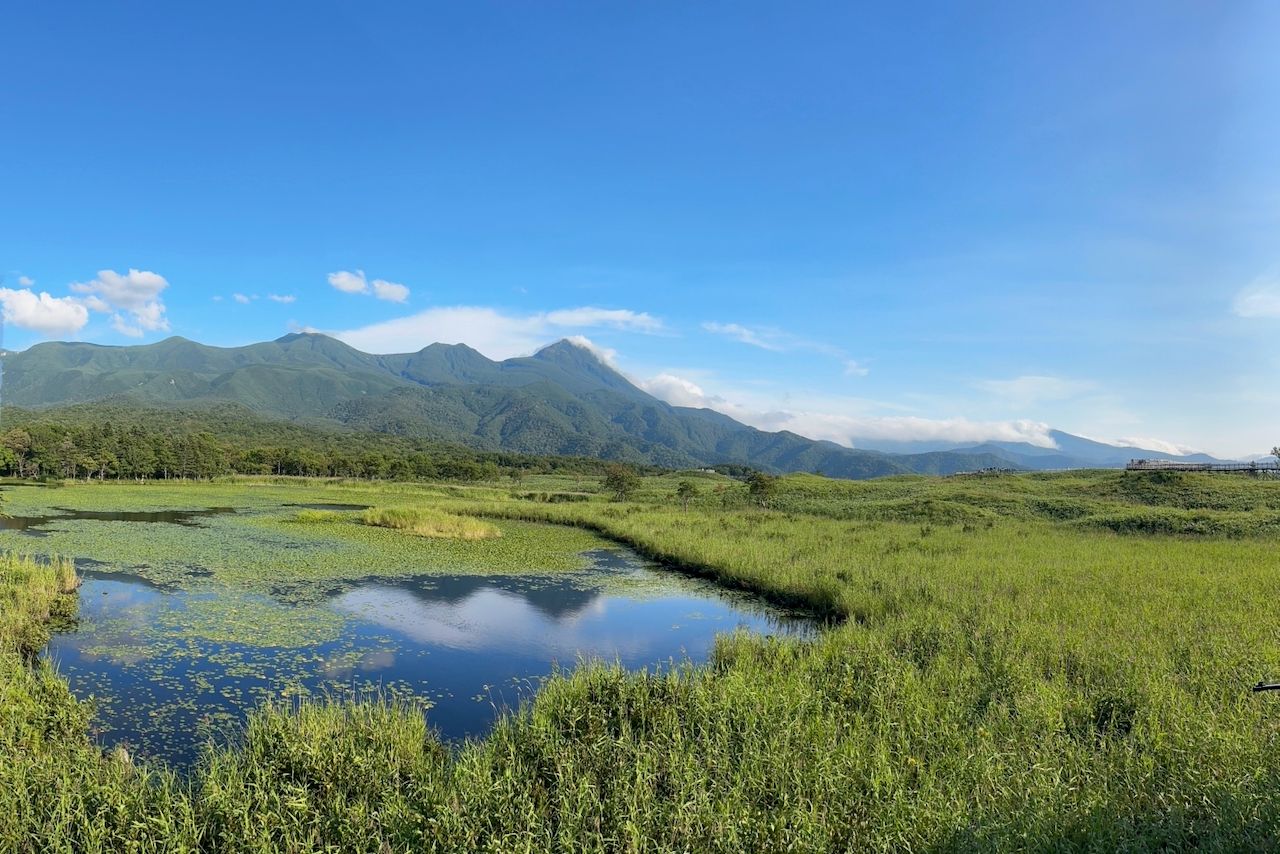 A serene view of Shiretoko Five Lakes in Hokkaido, featuring a calm blue lake dotted with lily pads surrounded by vibrant green marshland. The majestic Shiretoko mountain range rises in the background under a clear sky, with a wooden boardwalk visible traversing the grassy plains on the right.