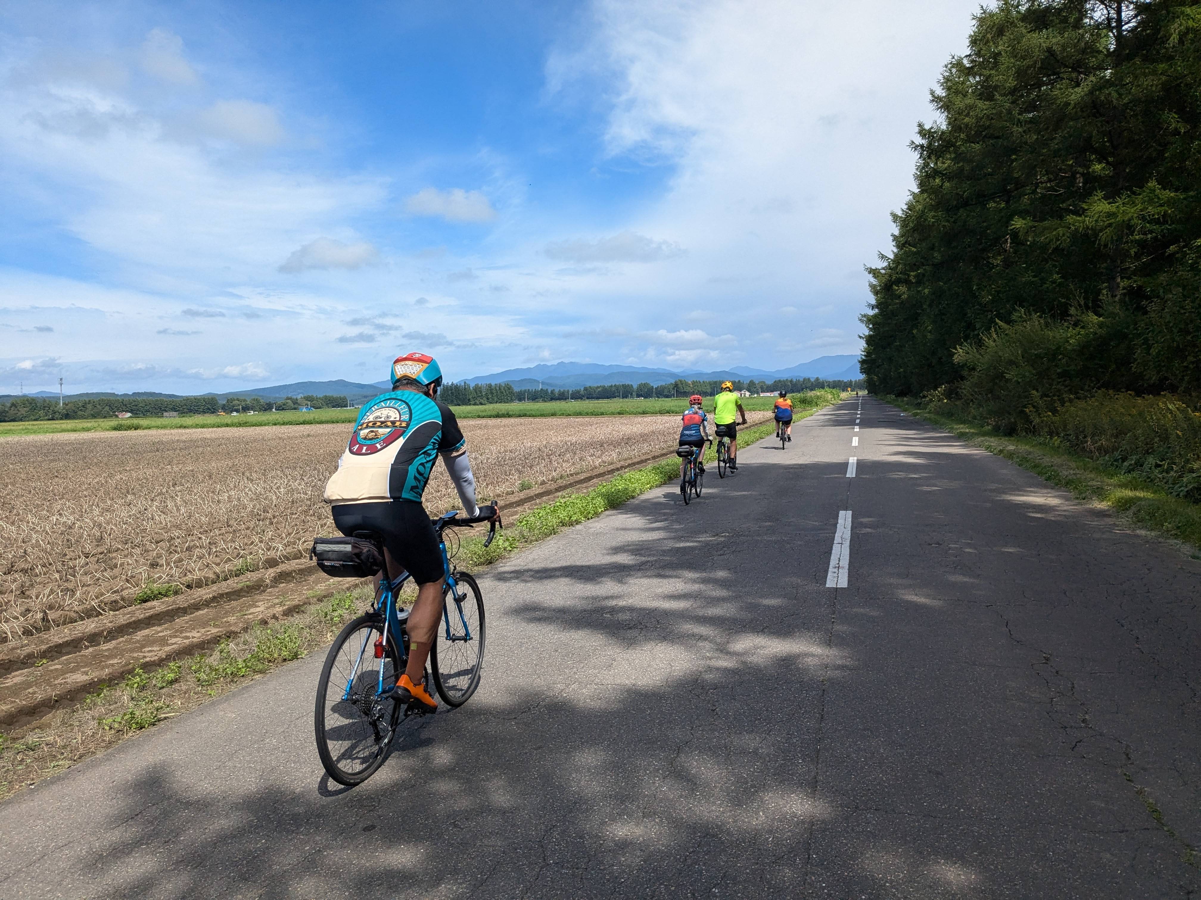 A line of four cyclists ride towards the horizon alongside an agricultural field on the left and a forest on the right. It is a beautiful, sunny day.