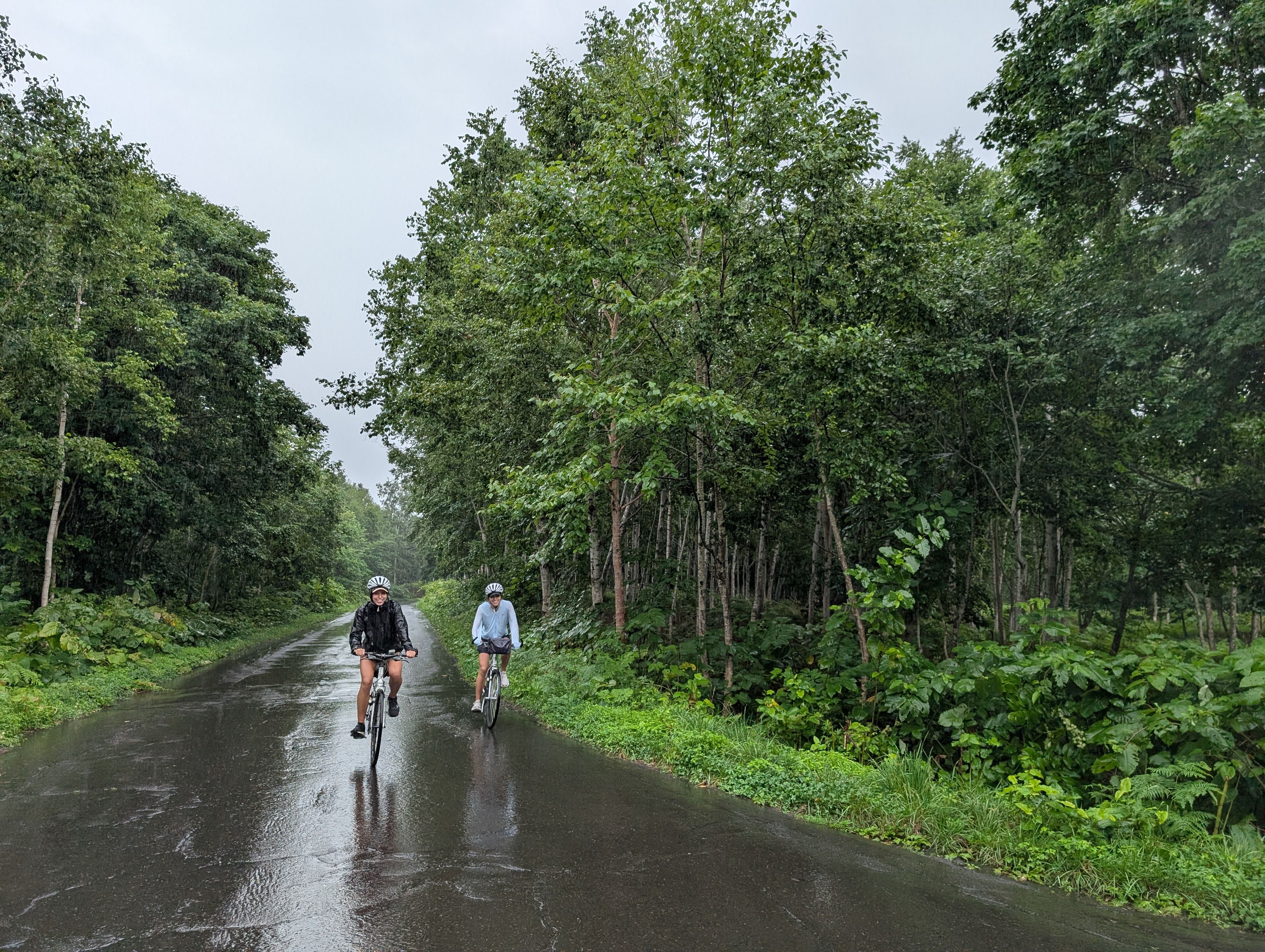 Two cyclists cycle along an asphalt road surrounded by forest. It is raining and the road is wet.