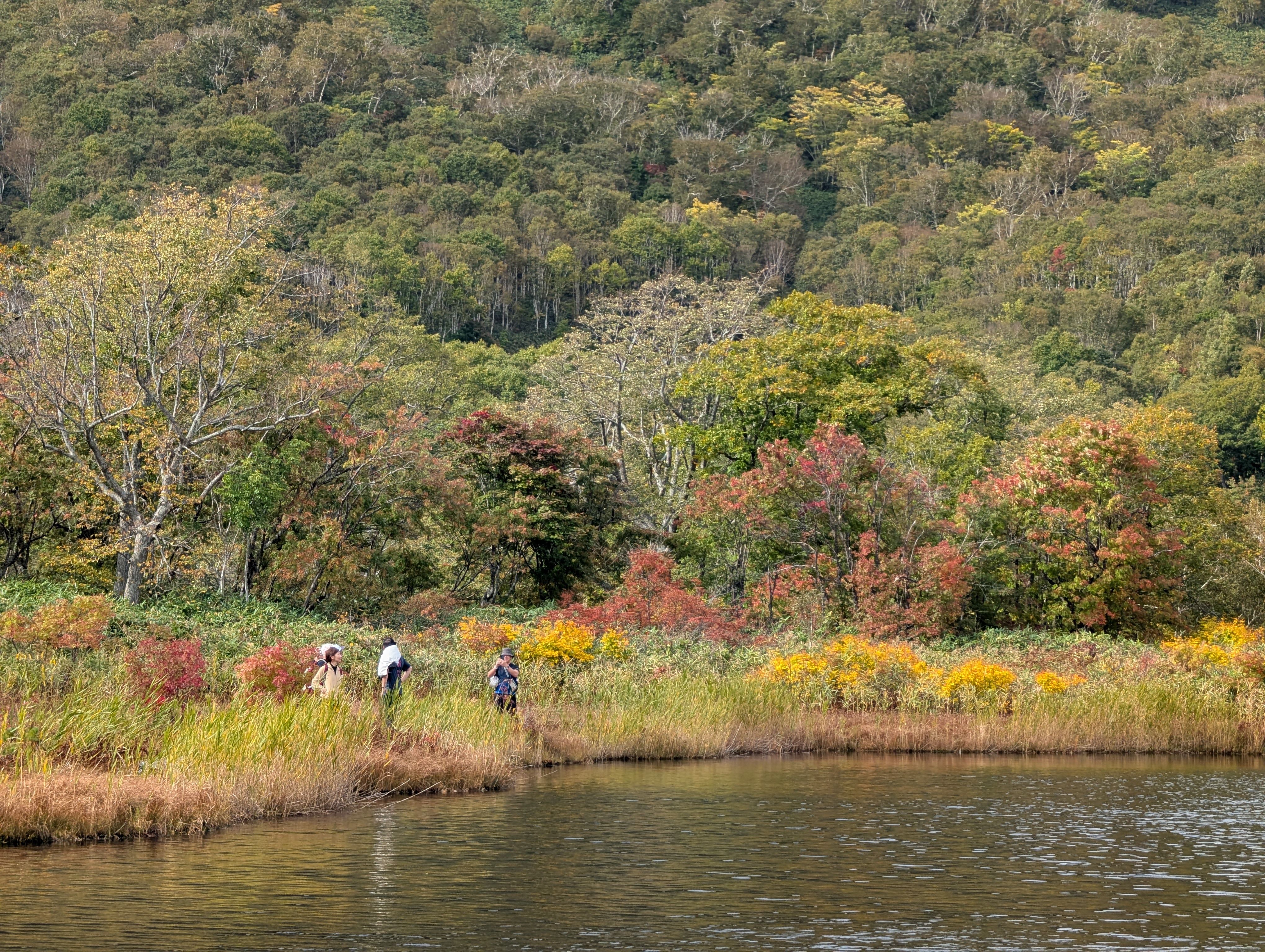 Three hikers stand on the far side of a pond. They are surrounded by early autumn colours.