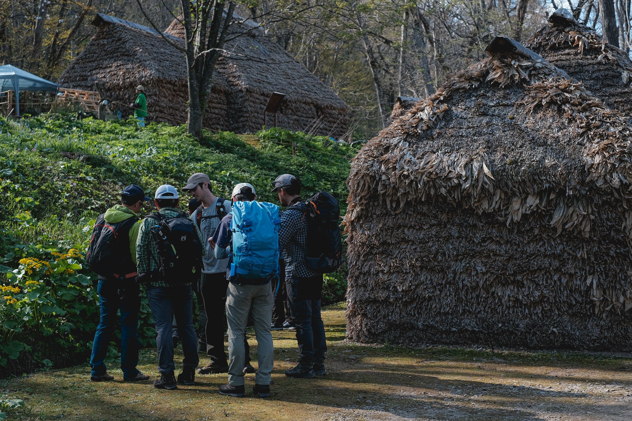 A group of people in hiking gear stand next to a "cise", a traditional Ainu dwelling. It is made with a wooden frame and covered in dried bamboo leaves.