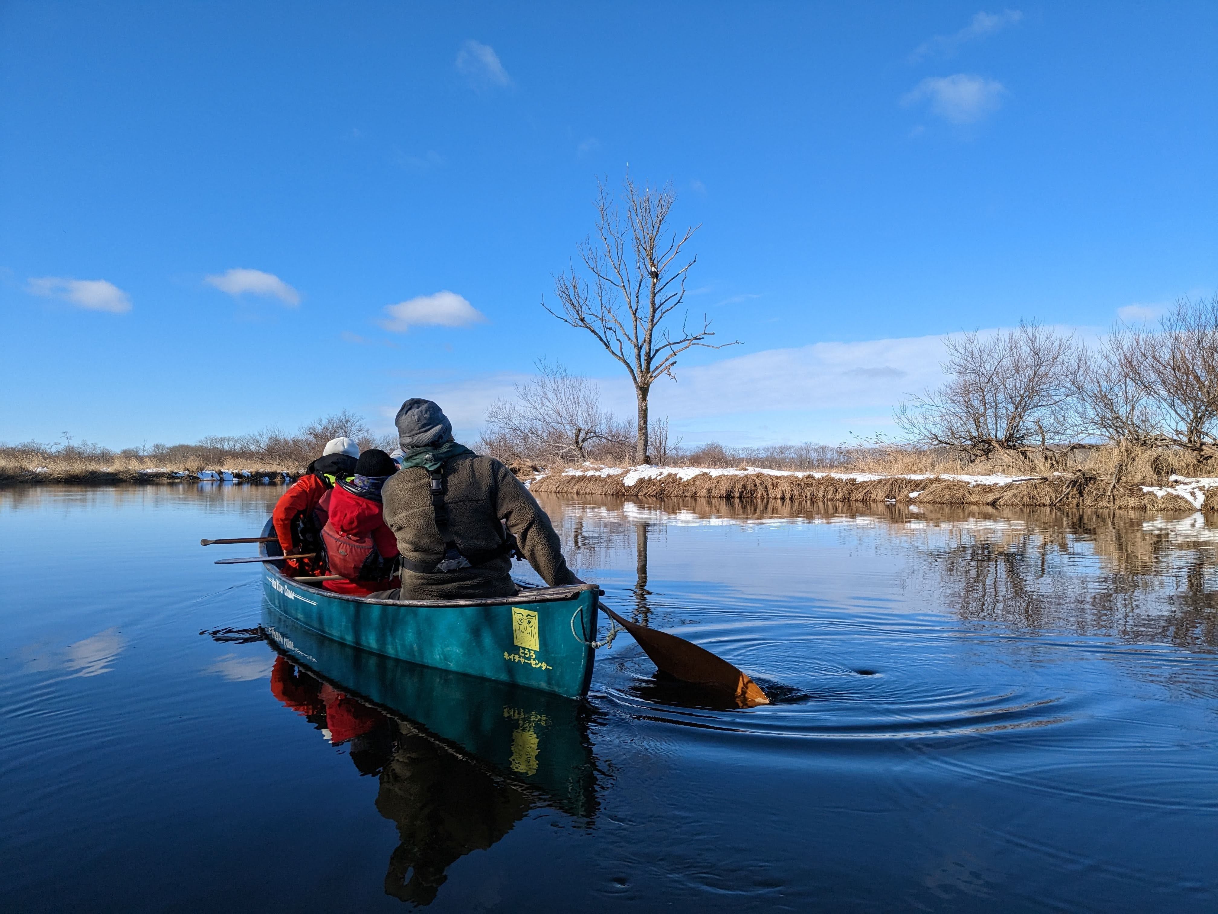 Guests canoe in the Kushiro River in winter, passing by a Steller's Sea Eagle perched in a tree.