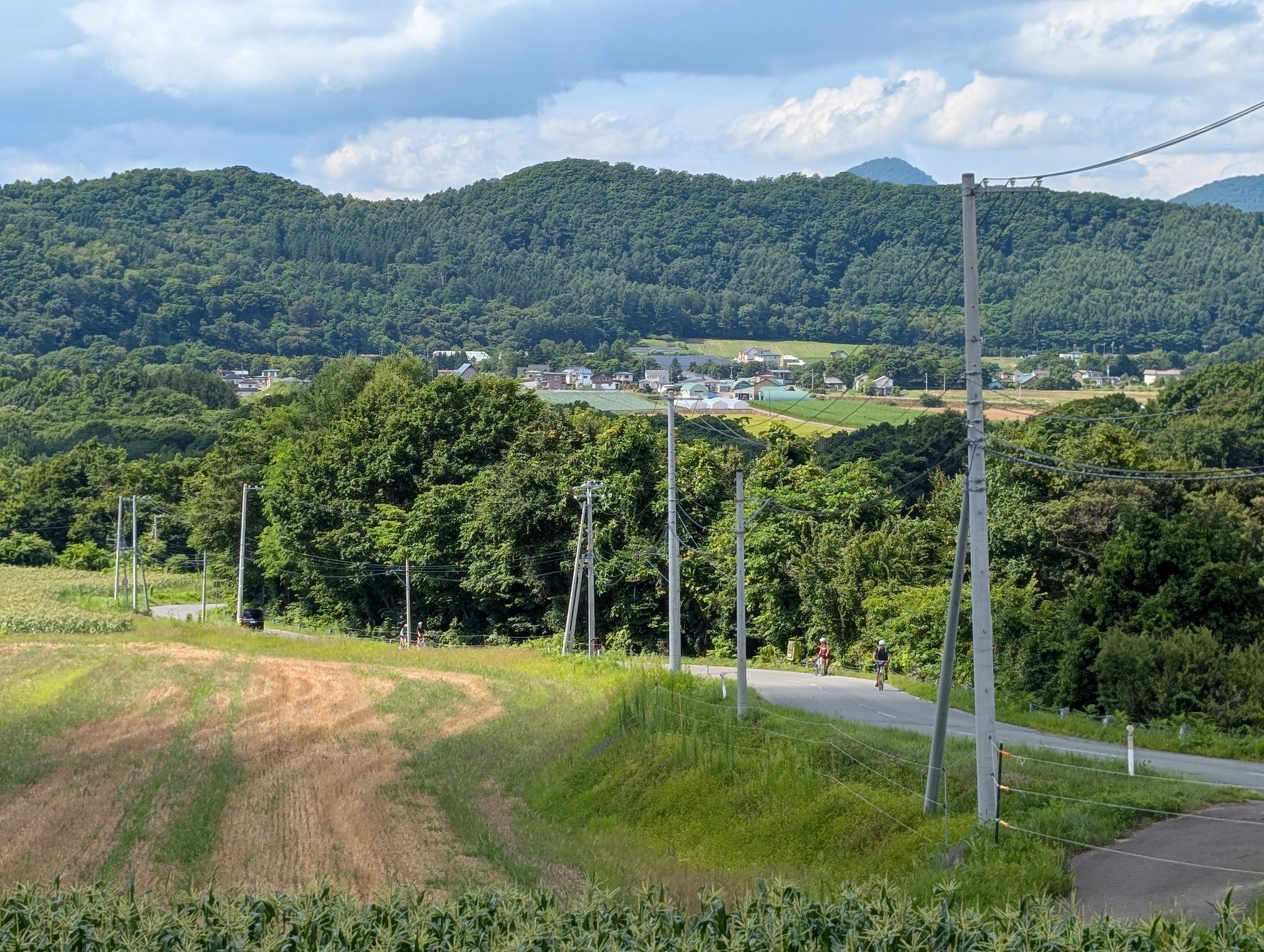 Two cyclists climb a road through farmland in southern Hokkaido. It is a sunny day and the fields and forests are pleasantly green.