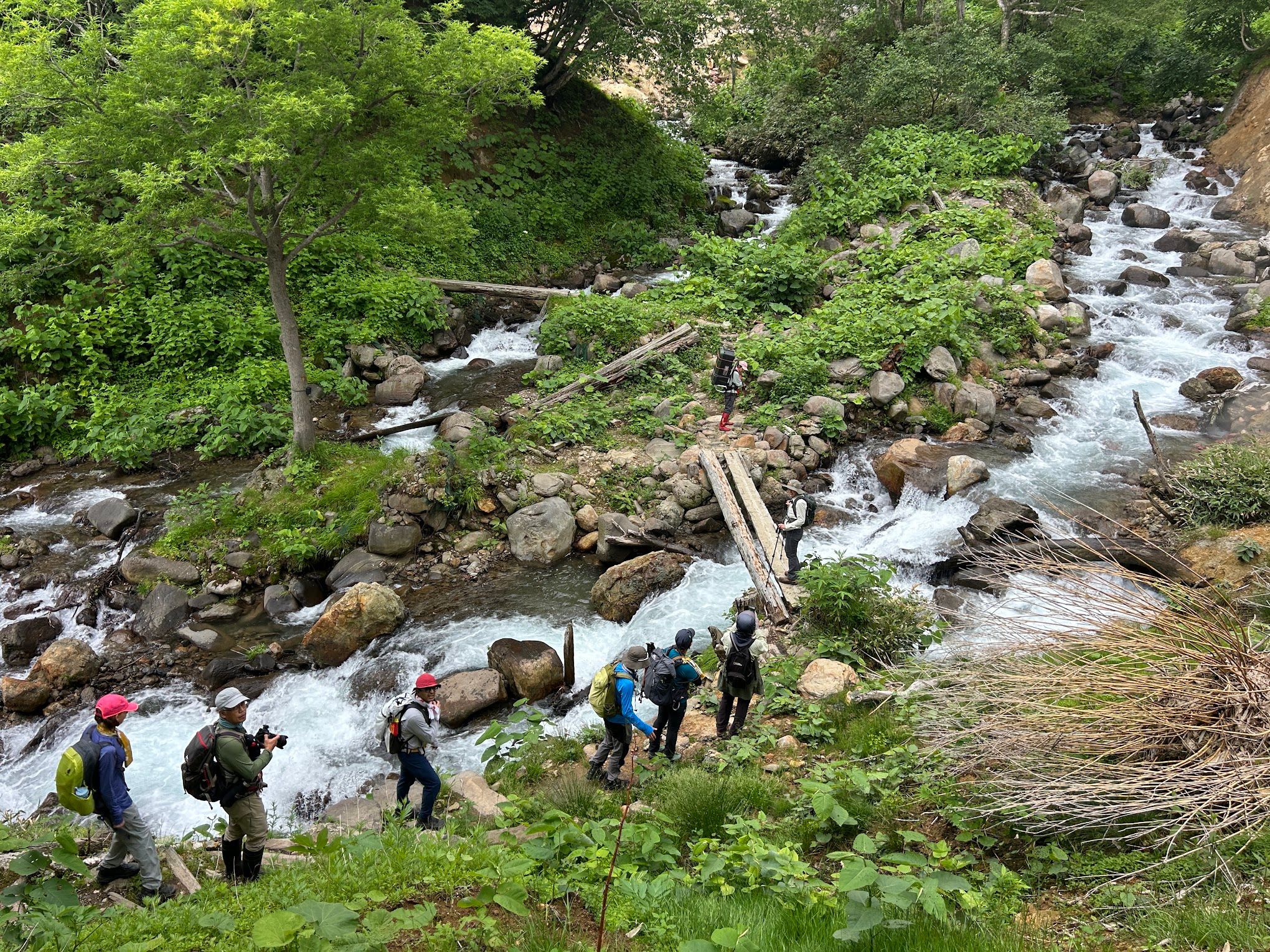 A photo taken from a high point in a valley. A group of hikers descend towards a log bridge which crosses a fast-flowing stream.