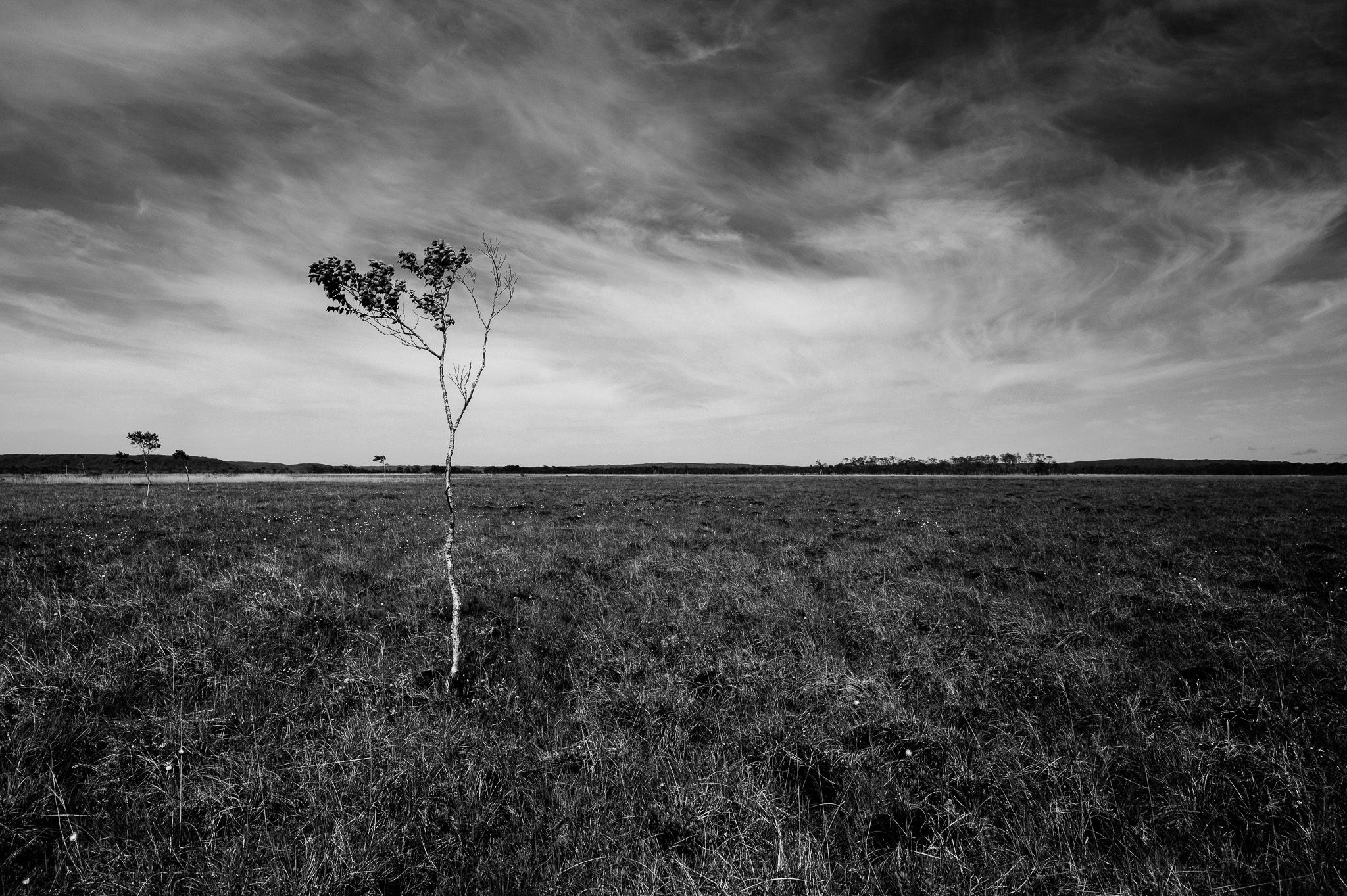 A monochrome photograph of a landscape. It is bare. save one tree in the foreground.