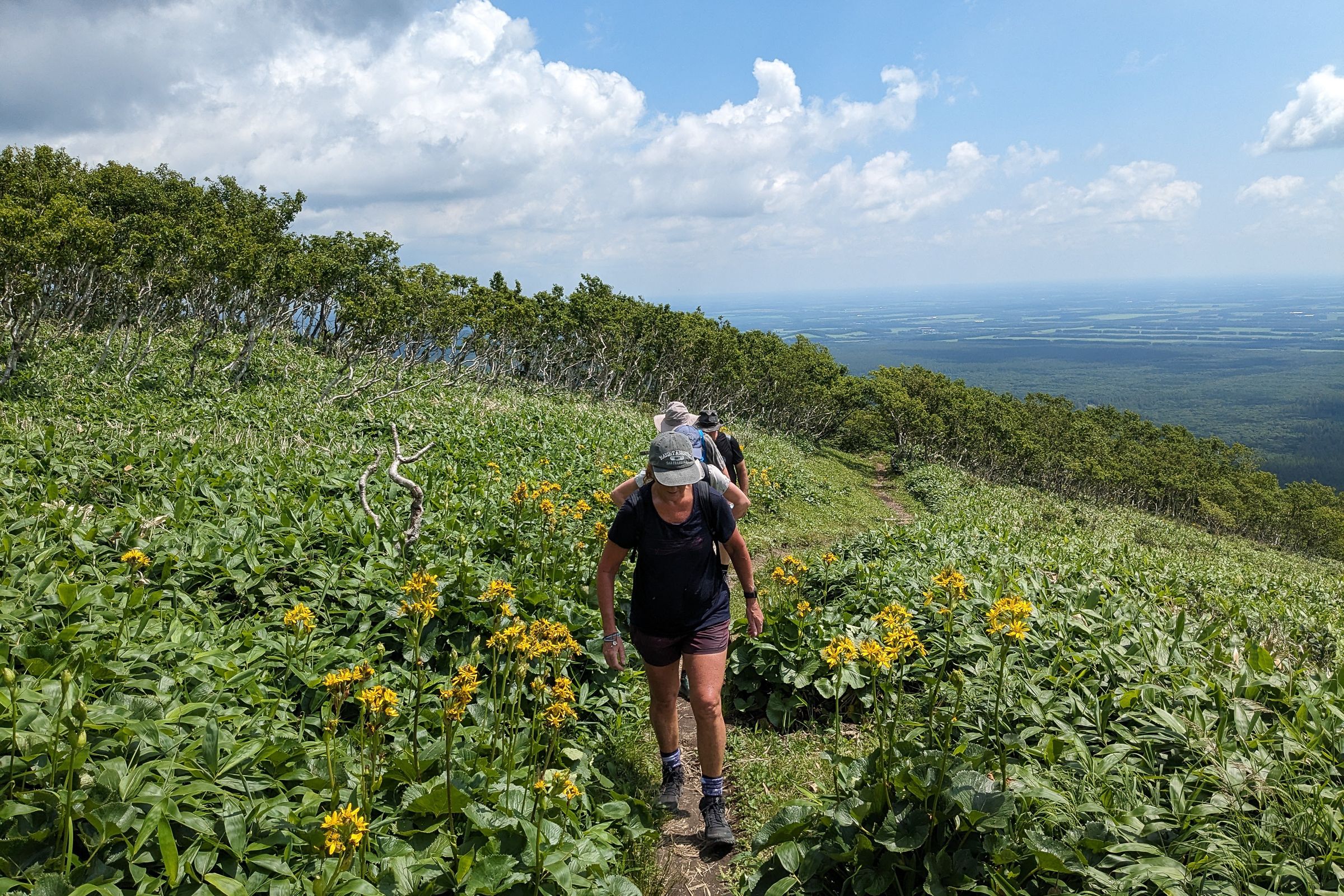 Climbing Mt. Nishibetsu on a beautiful day!