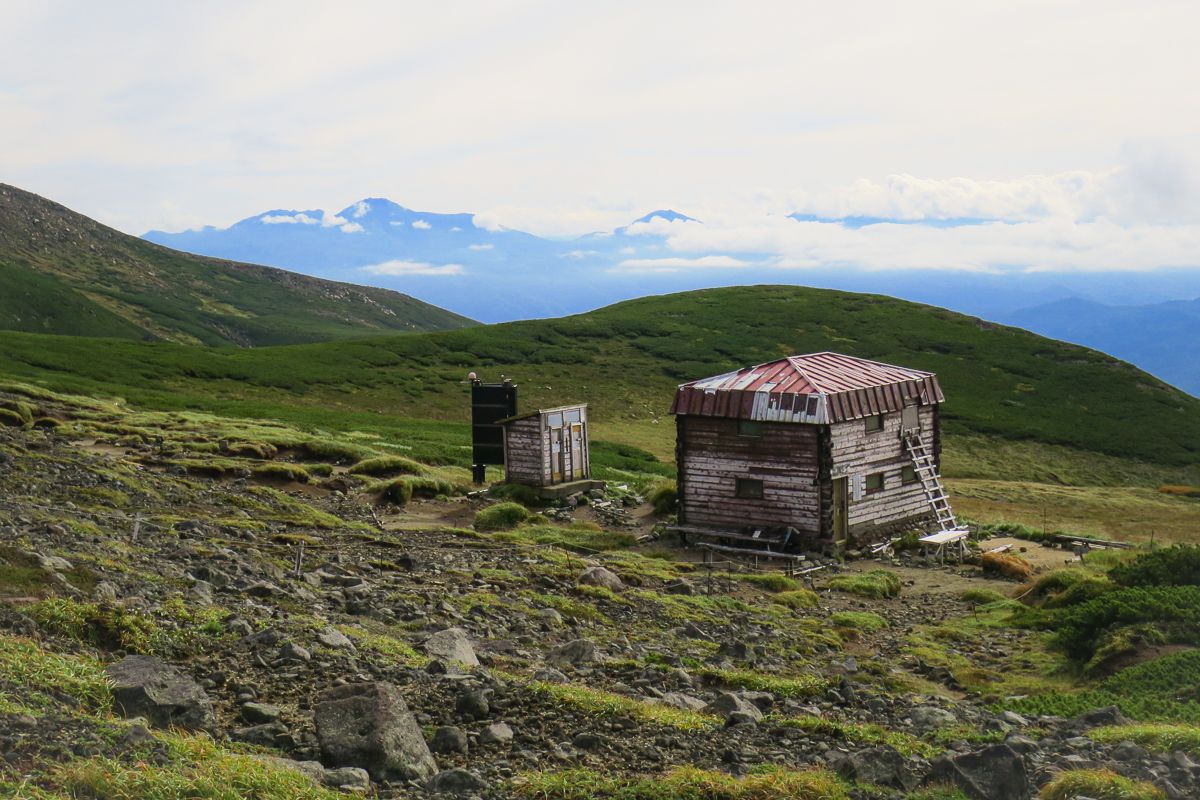 Disposable toilet bag blog