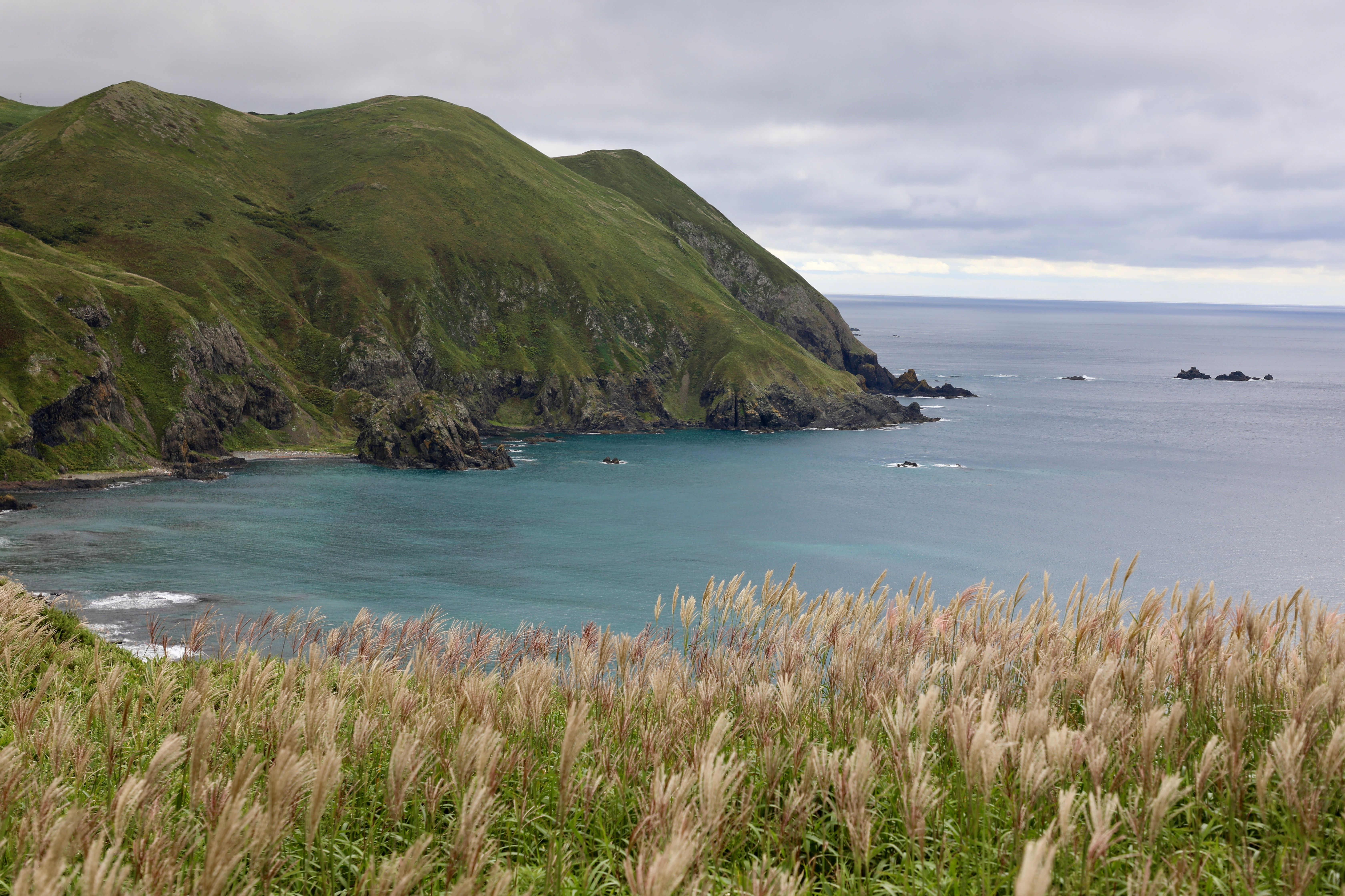A view of the ocean and cliffs from Rebun Island, Hokkaido. (Photo by Samir Patel)