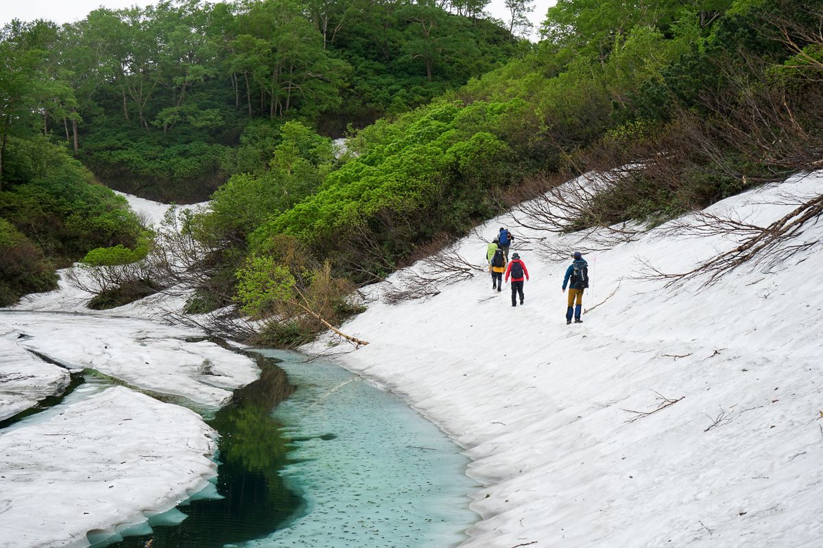 Hikers on a snow drift on the Daisetsu Kogen trail