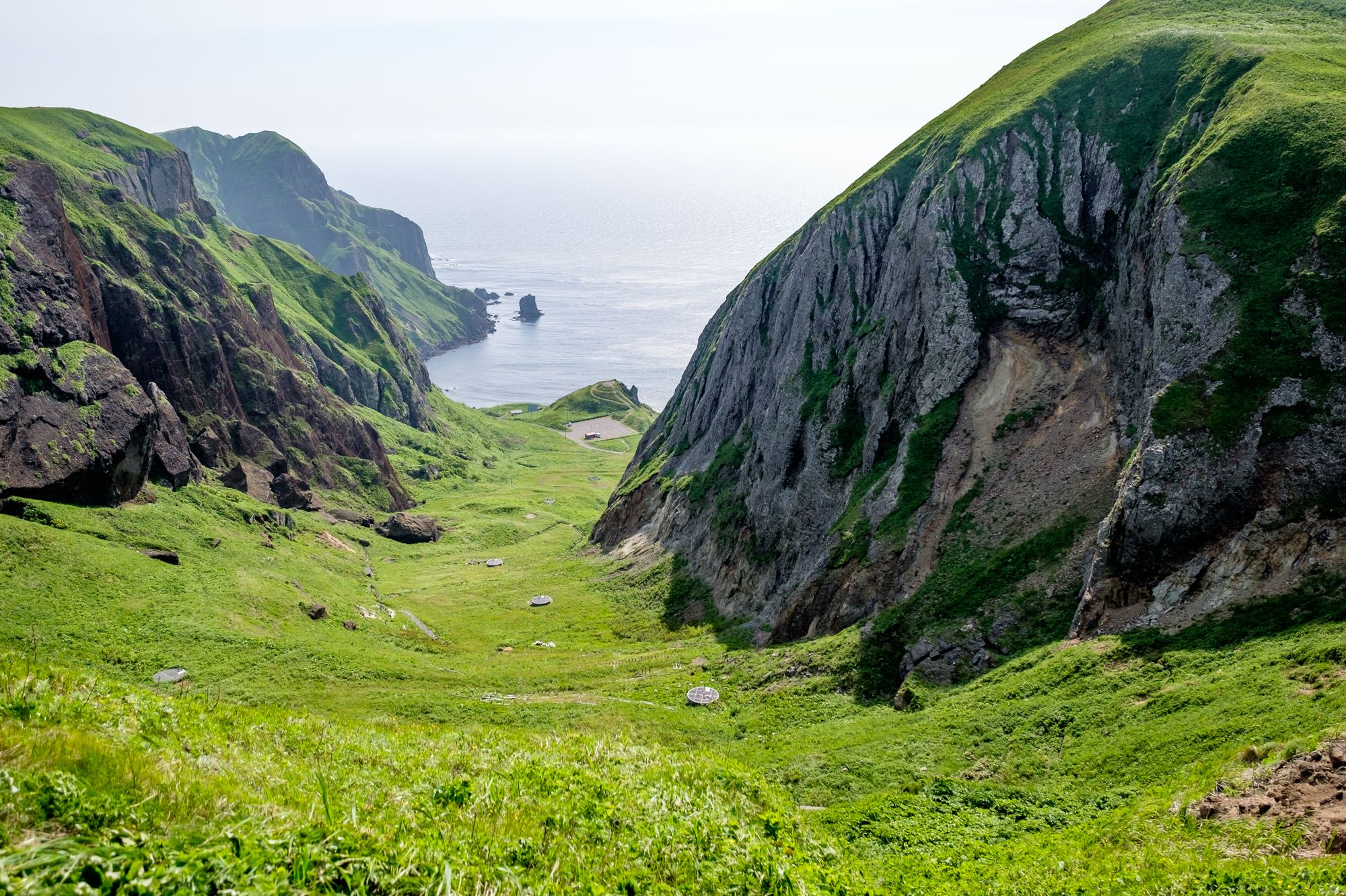 Momoiwa and the sea cliffs on Rebun rise dramatically from the sea
