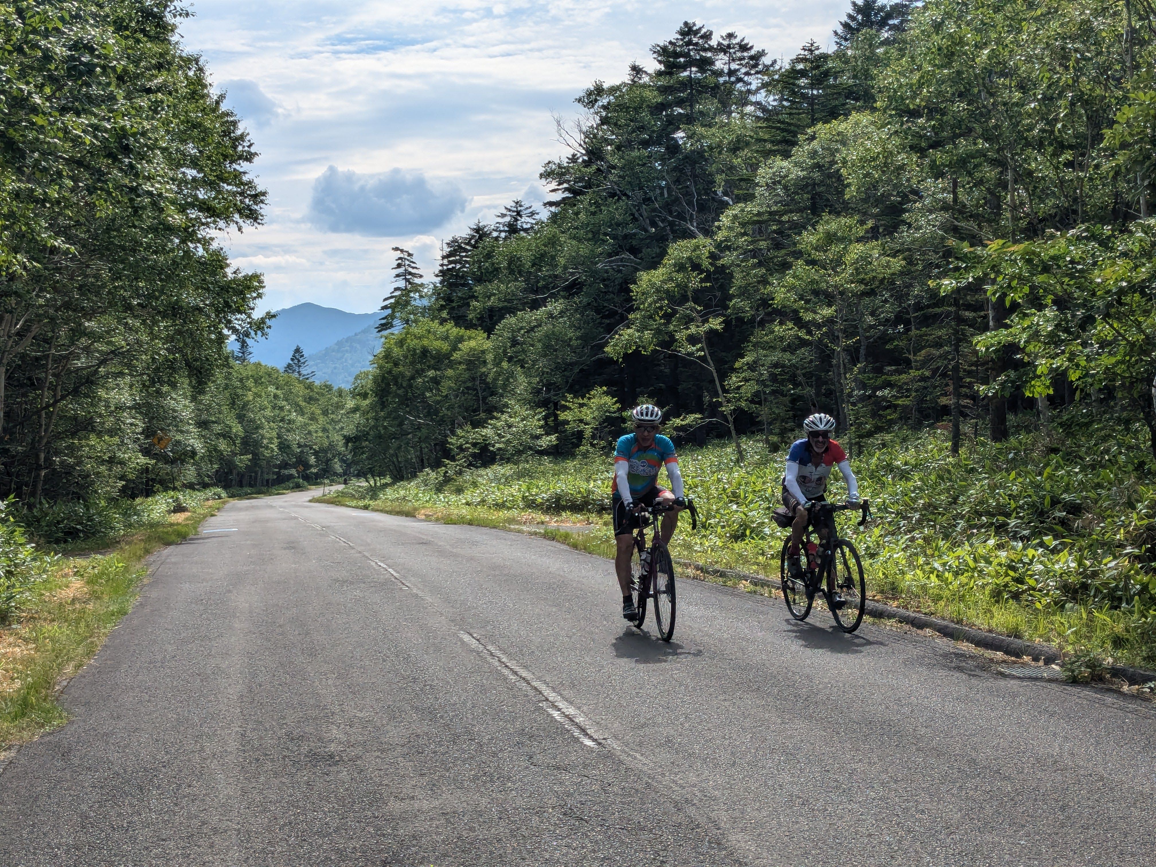 Two cyclists cycle along a forest road in Daisetsuzan National Park, Hokkaido.