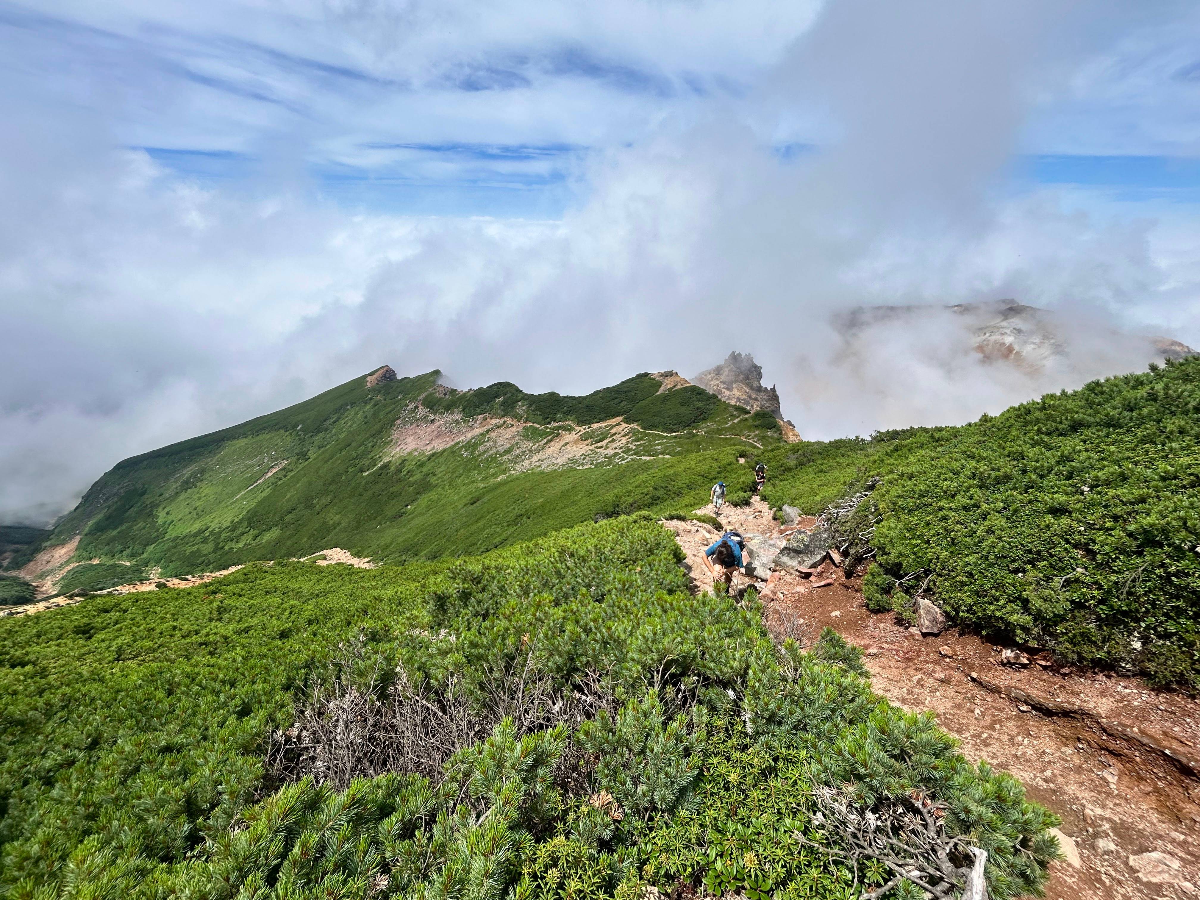 A group of hikers walk along a narrow, rocky path through rock pine. It is a sunny day, but steam rises from a volcanic crater in the distance.
