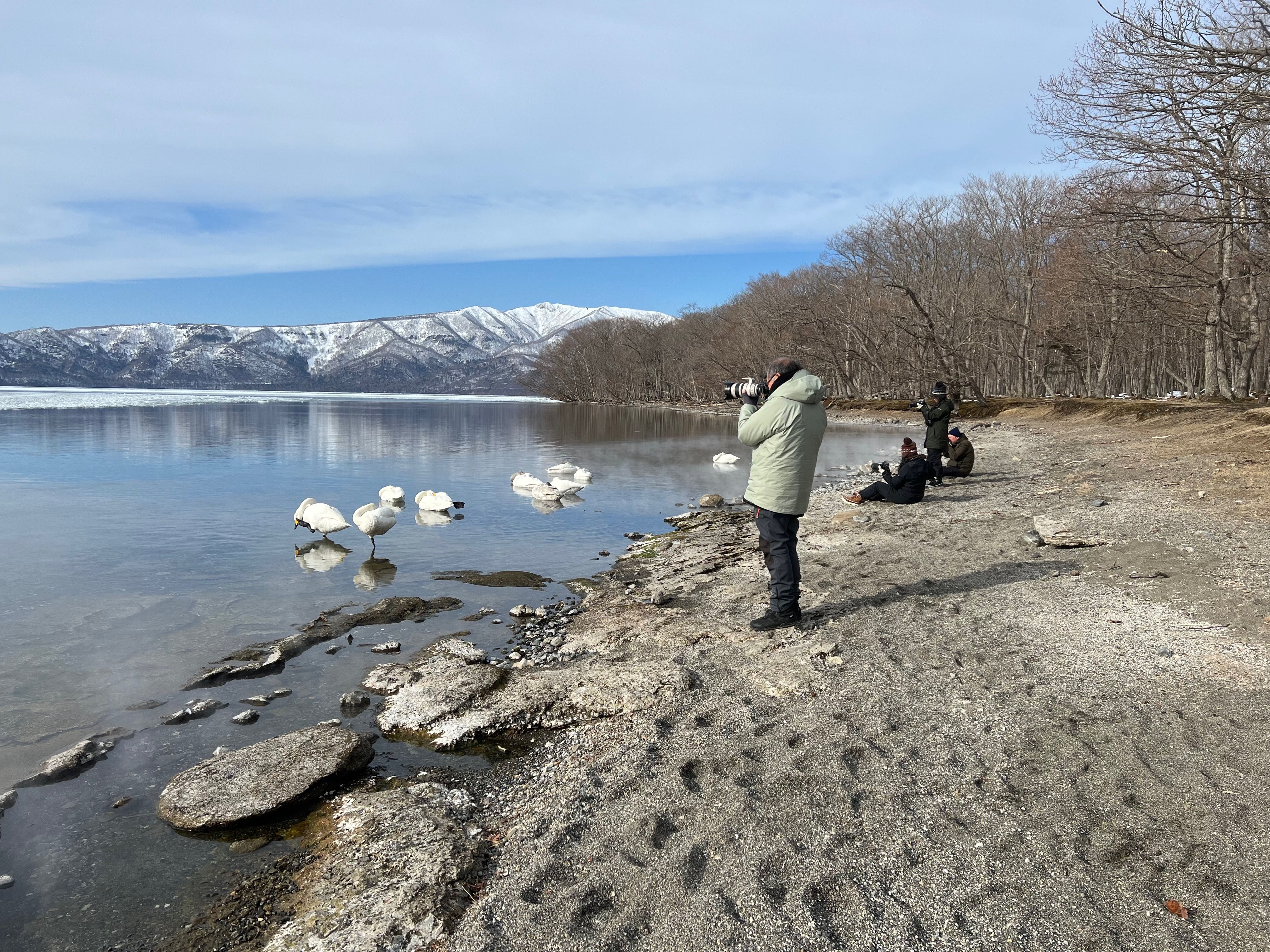 A group of four photographers stand on the shoreline of Lake Kussharo, their camera lenses pointed out towards swans on the lake surface.